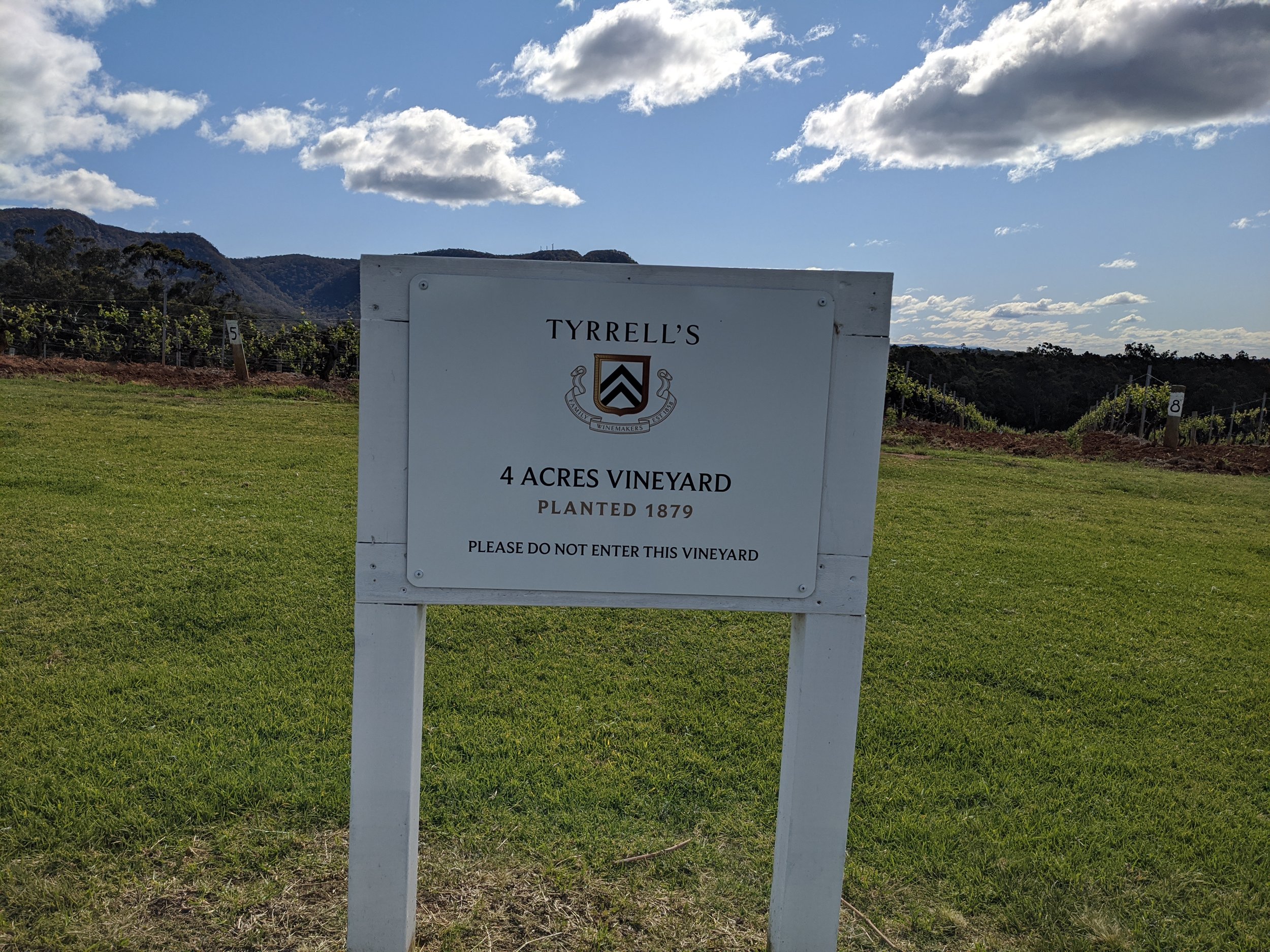 Tyrrell’s Wines