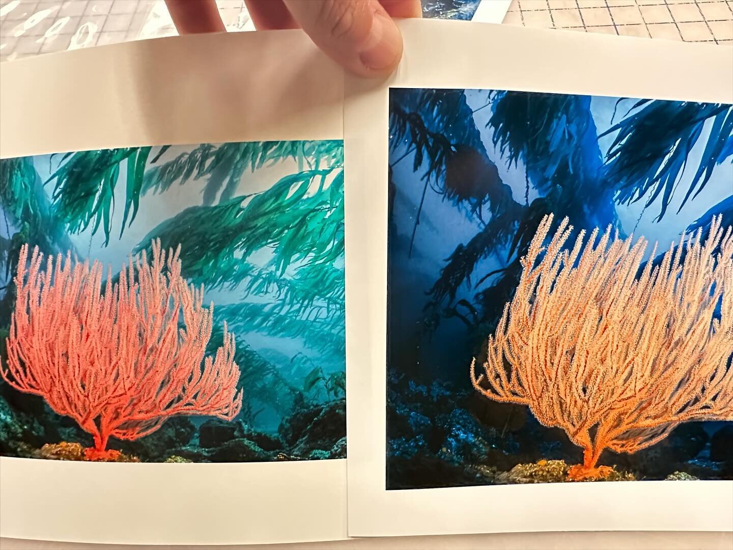 This is why it&rsquo;s important to calibrate your monitor. The print was supposed to look like the image in the left, but initially was printing like the photo on the right. Make routine calibrations as a New Year&rsquo;s resolution! #printing #cali