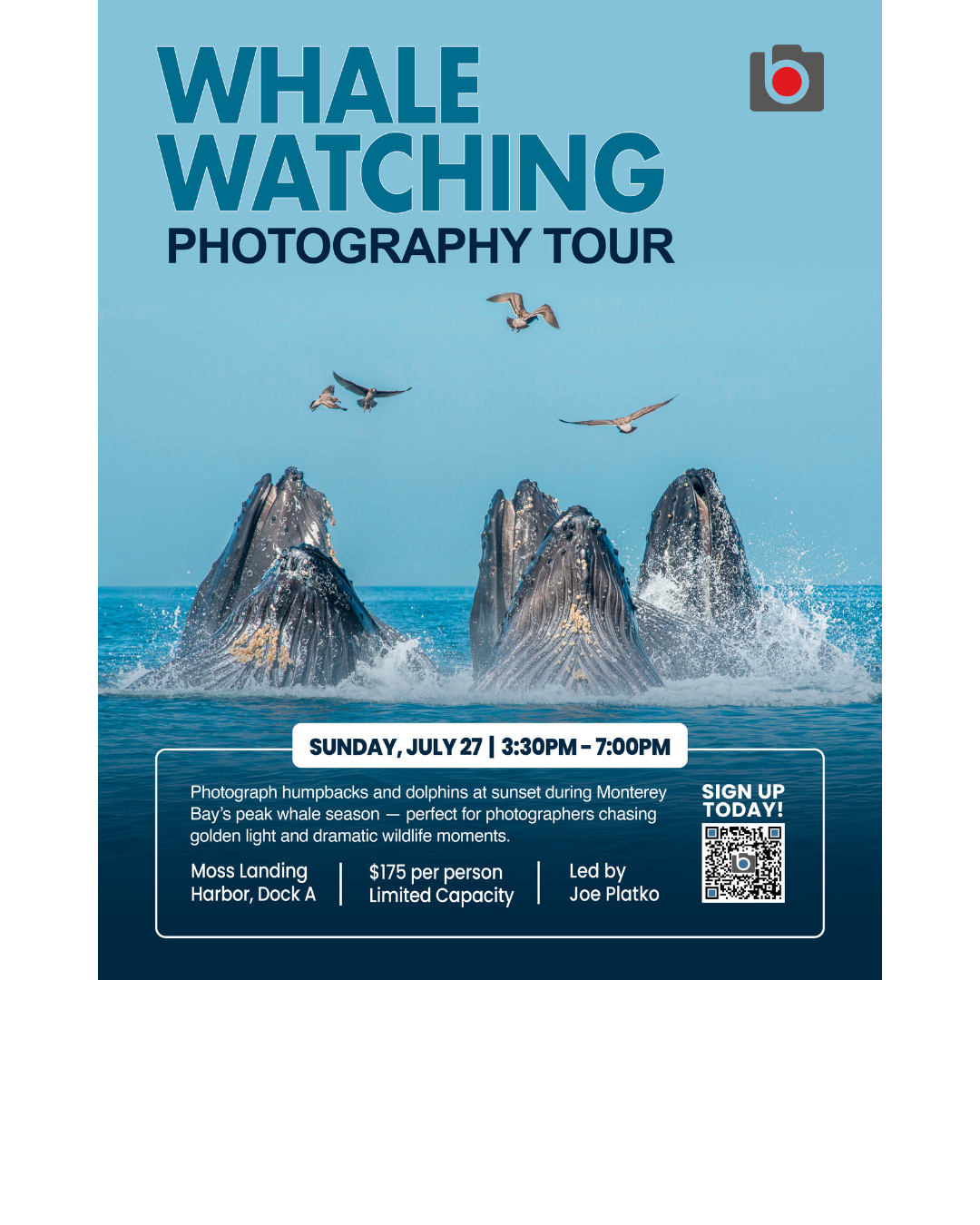 Whale Watching Photography Tour – July 27, Monterey Bay