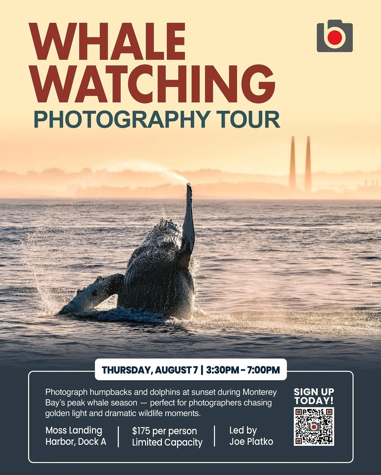 If you&rsquo;ve ever wished your whale watching trip gave you time to actually get the shot &mdash; this one&rsquo;s for you 📸This isn&rsquo;t a crowded sightseeing boat.
It&rsquo;s a small-group trip created with photographers in mind &mdash; with 