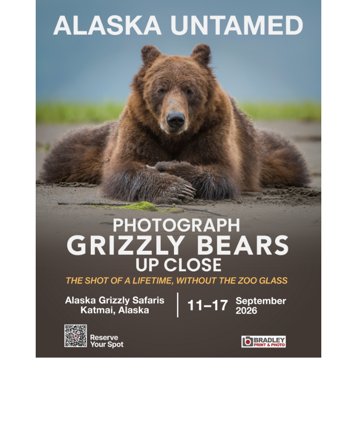 ALASKA UNTAMED: Photograph Grizzly Bears Up Close