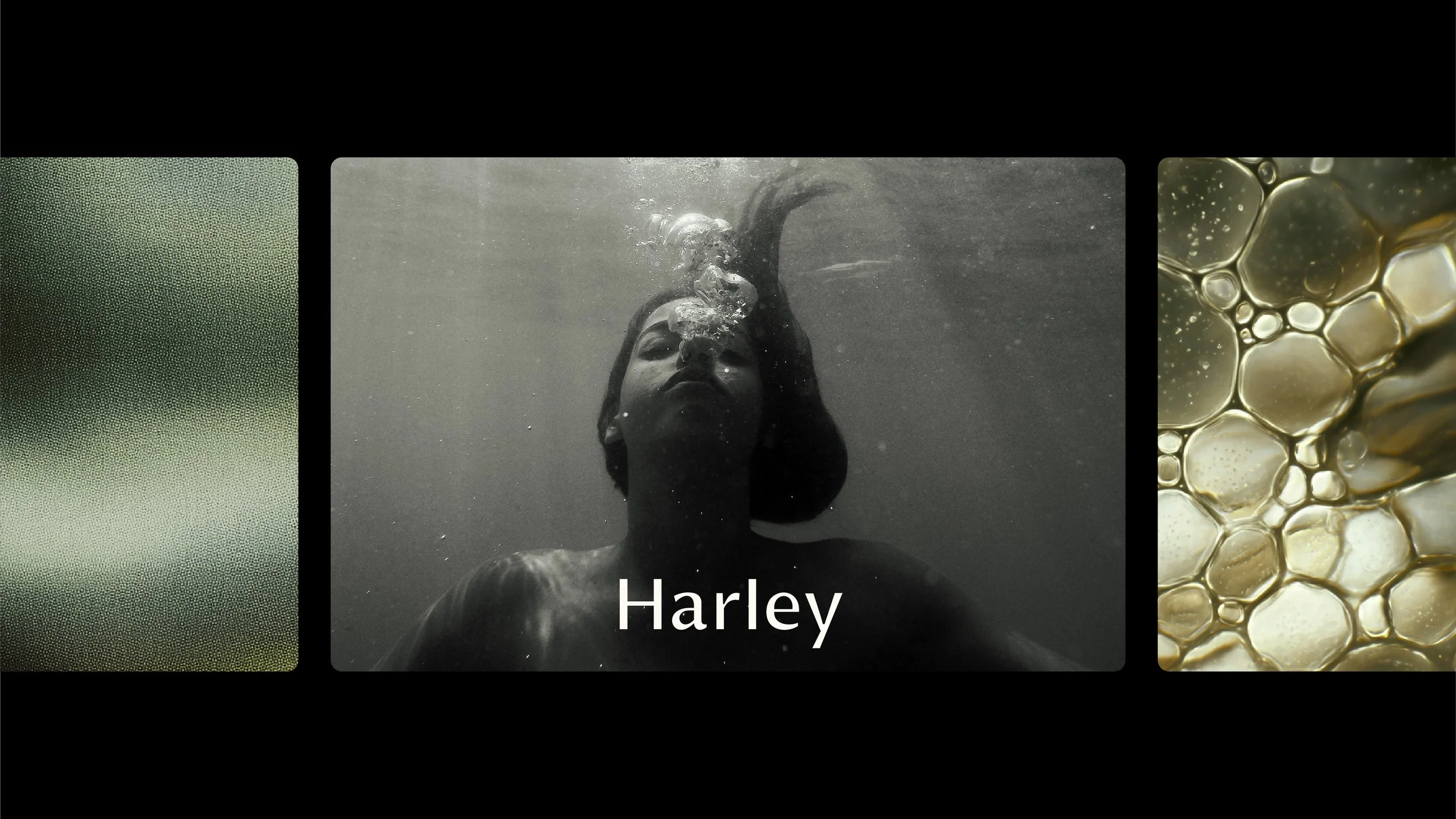 Harley Portfolio_Website 12.jpg