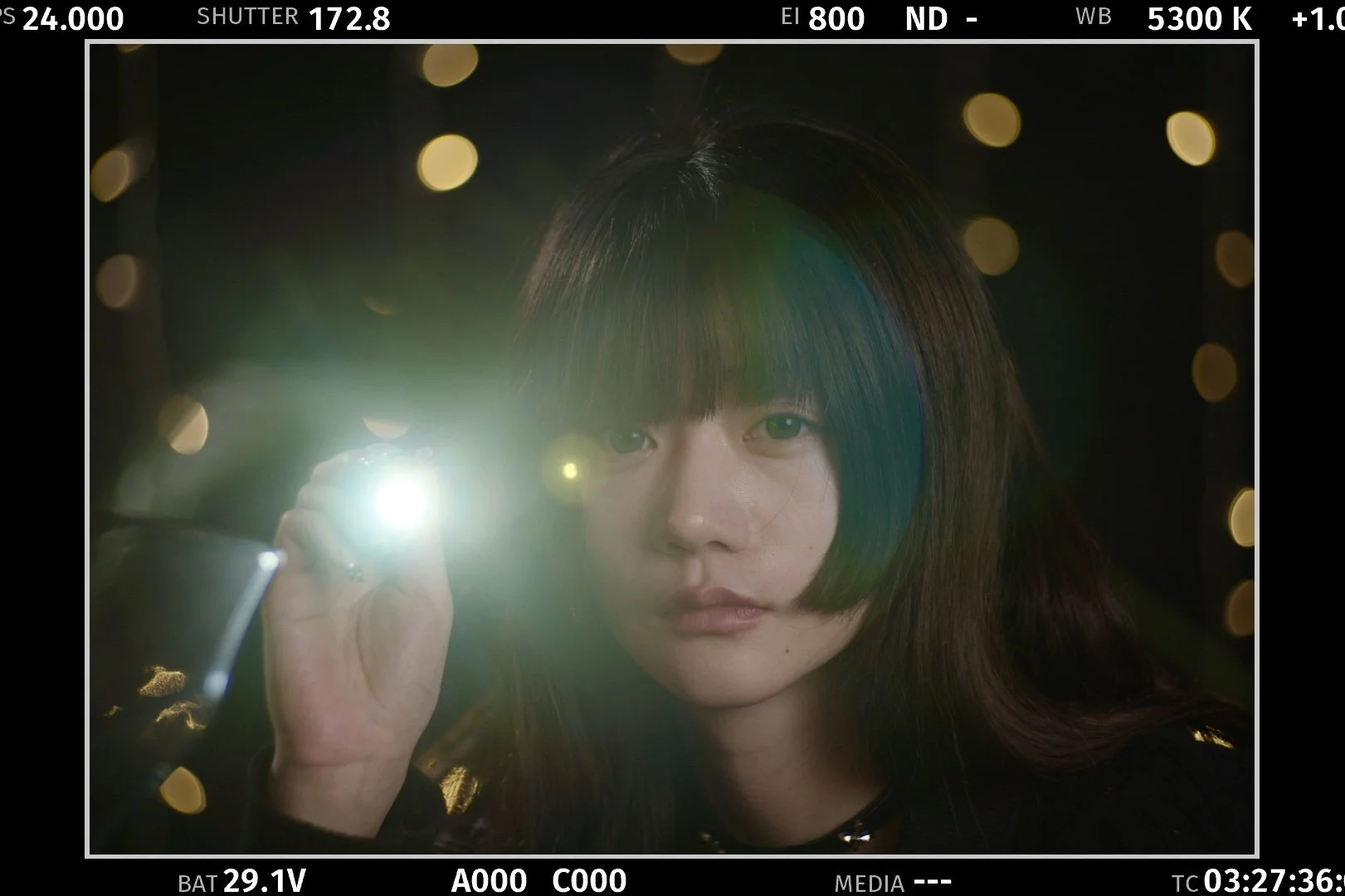 SHD_0010.jpg