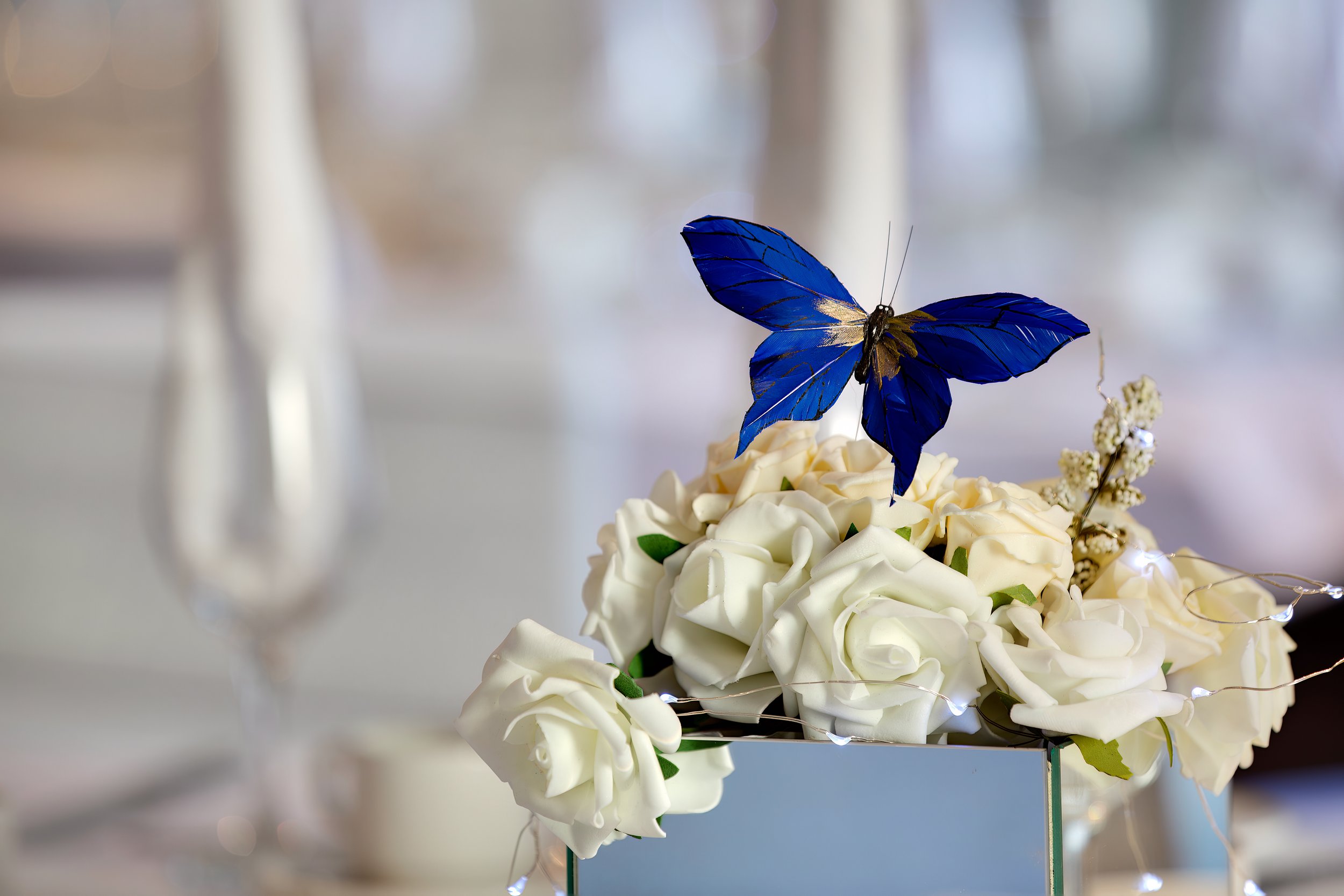 blue-butterfly-table-decoration-jurys-inn-brighton-sussex.jpg