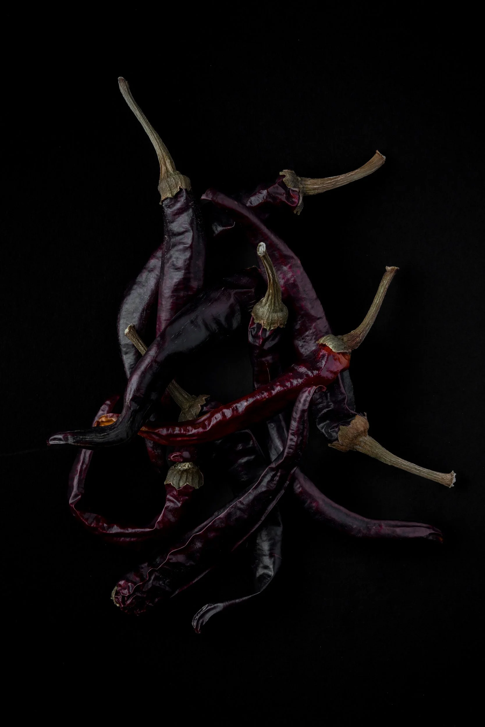 dried-guindilla-chillis-fine-art-food-photography.jpg