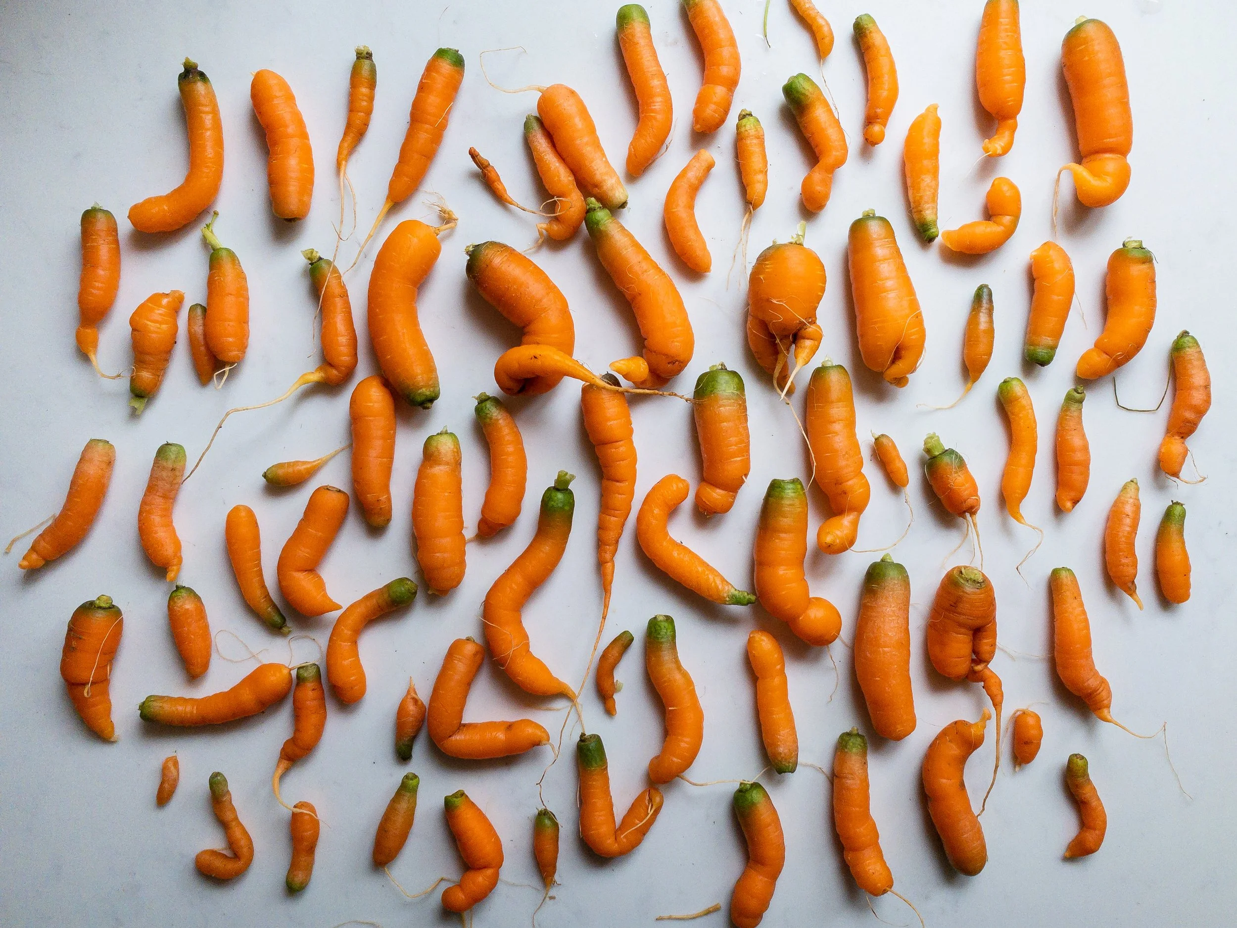Celebrating Organic September