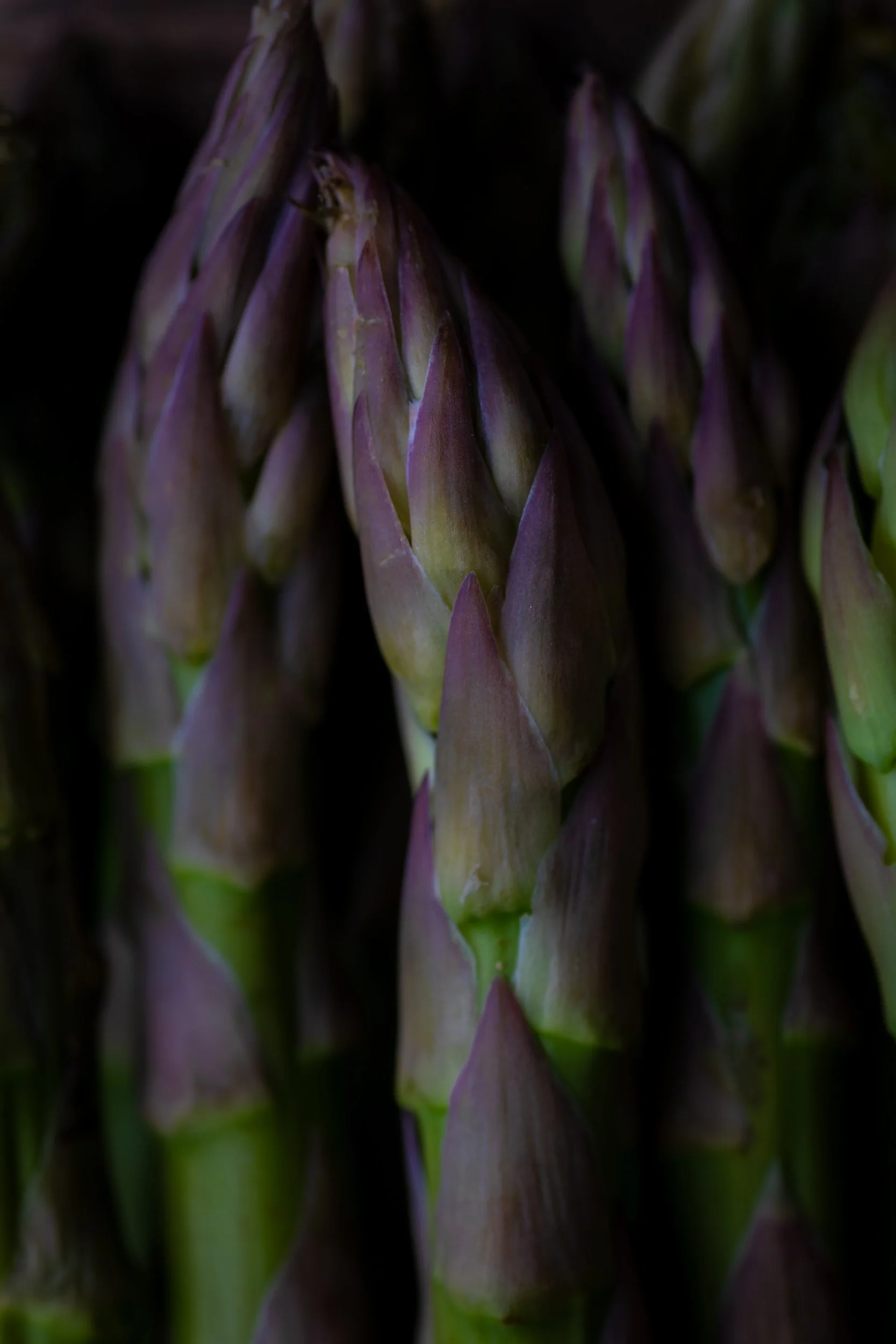 asparagus-spears_rising-sun-milland_dining-room_surrey_fine-art-food-photographer.jpg