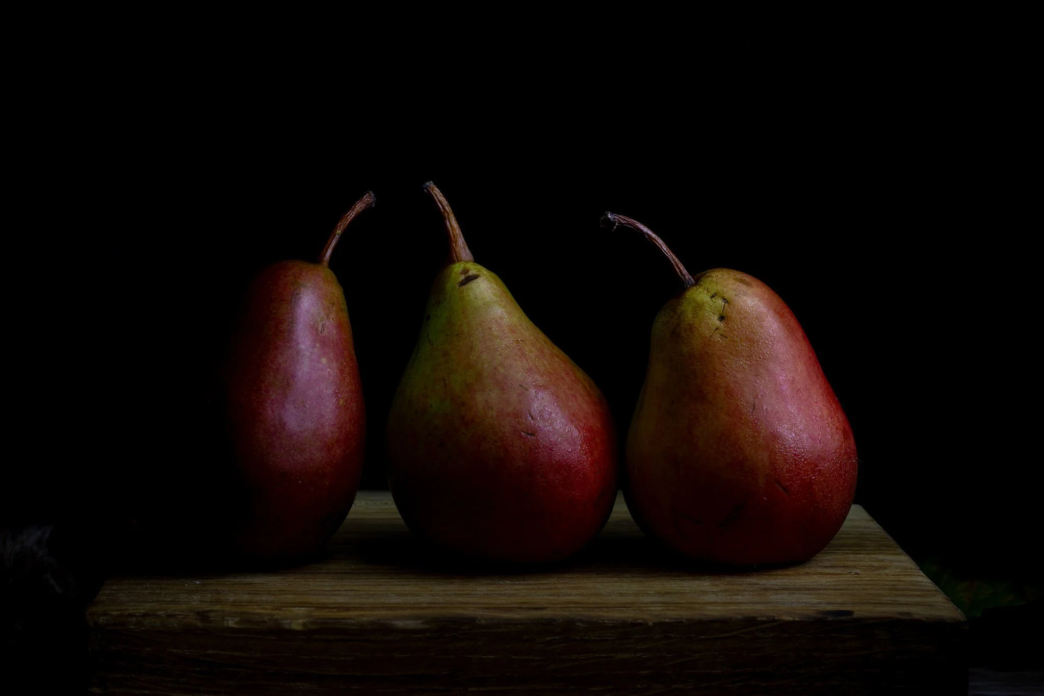 ✨ International Artist Day 2025 ✨
This year’s theme celebrates the connection between healthy food, the earth and the artists who care for it and I couldn’t think of a more perfect subject.
I’ve always admired the Dutch masters su