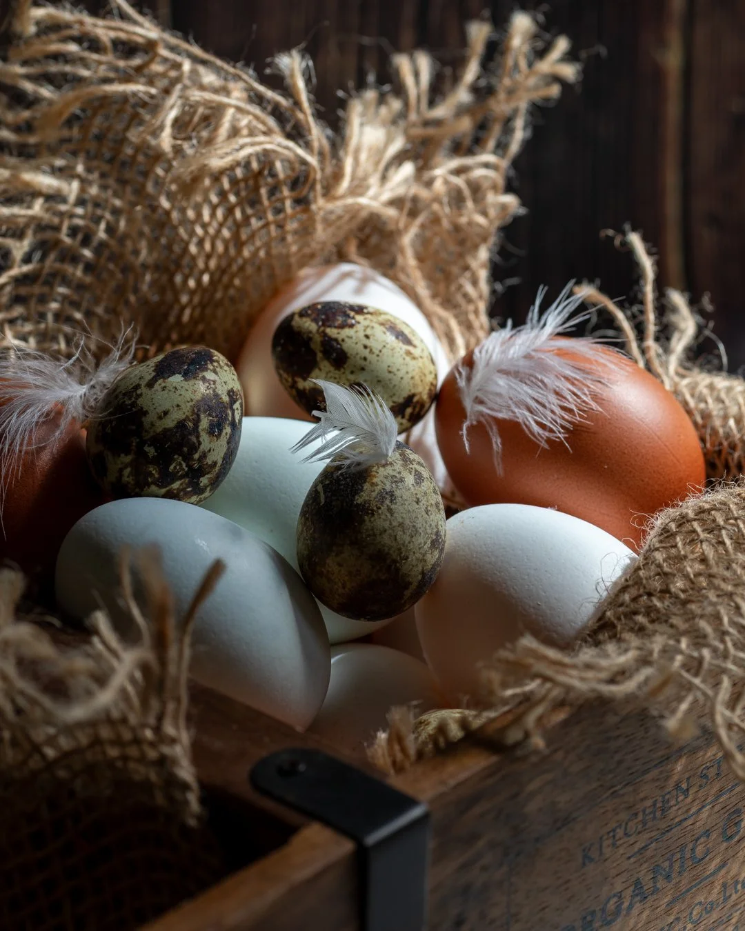 Before the feathers, before the flock&hellip;

It all starts here.

A simple clutch of eggs. Each one holding the promise of life, nourishment and tradition. From humble beginnings come the birds, the dishes and the stories that shape our tables.

On