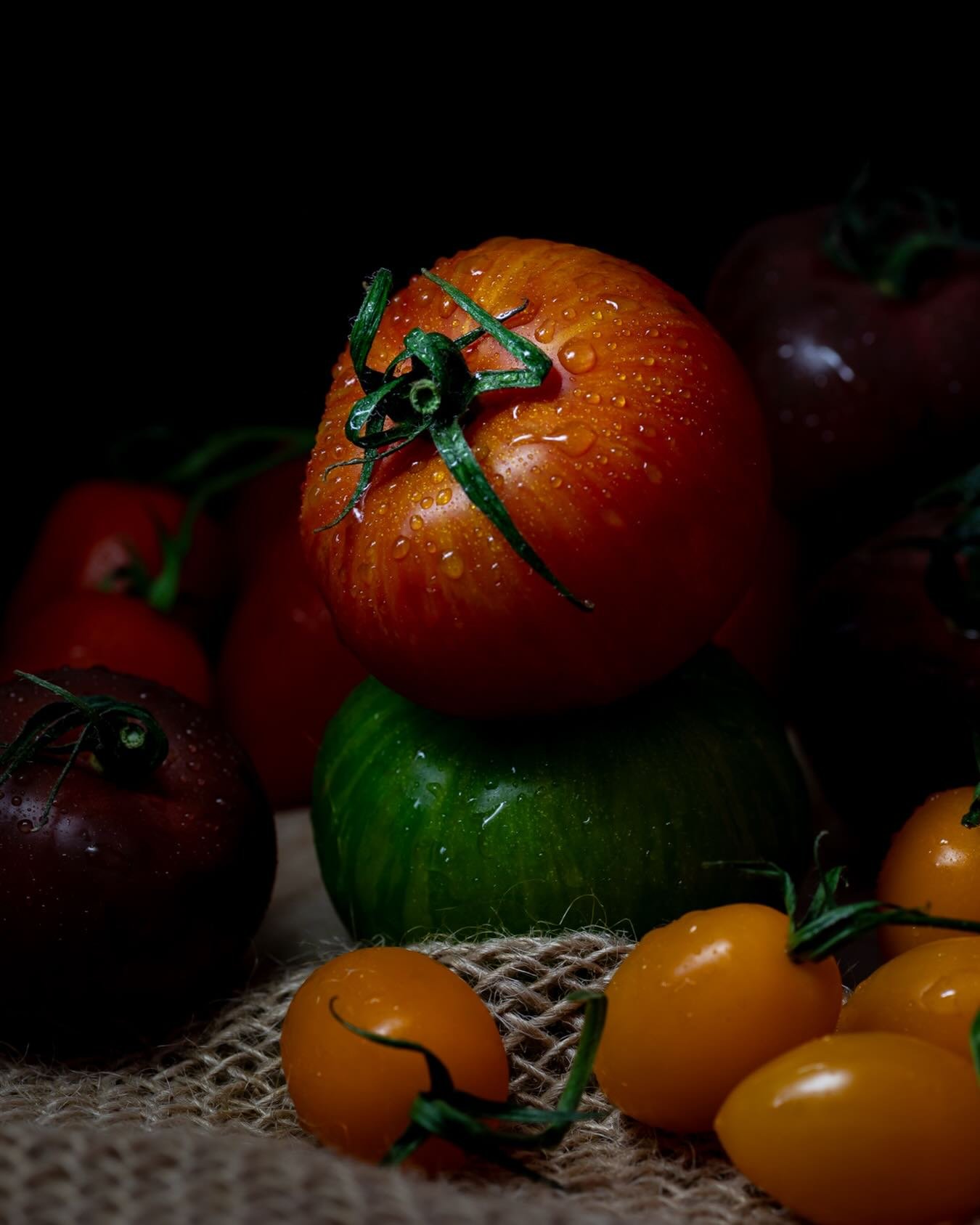 It&rsquo;s British Tomato Fortnight, so here&rsquo;s a little celebration of one of the hardest-working ingredients in the kitchen.

Sweet, sharp, rich, colourful and somehow even better when they&rsquo;re properly in season.

I could happily photogr