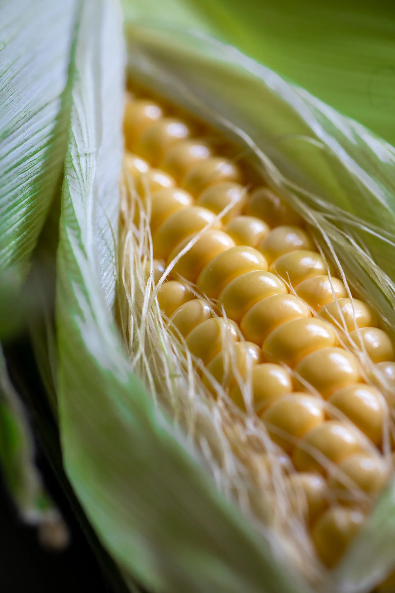 sweetcorn-close-up-fine-art-food-photography.jpg