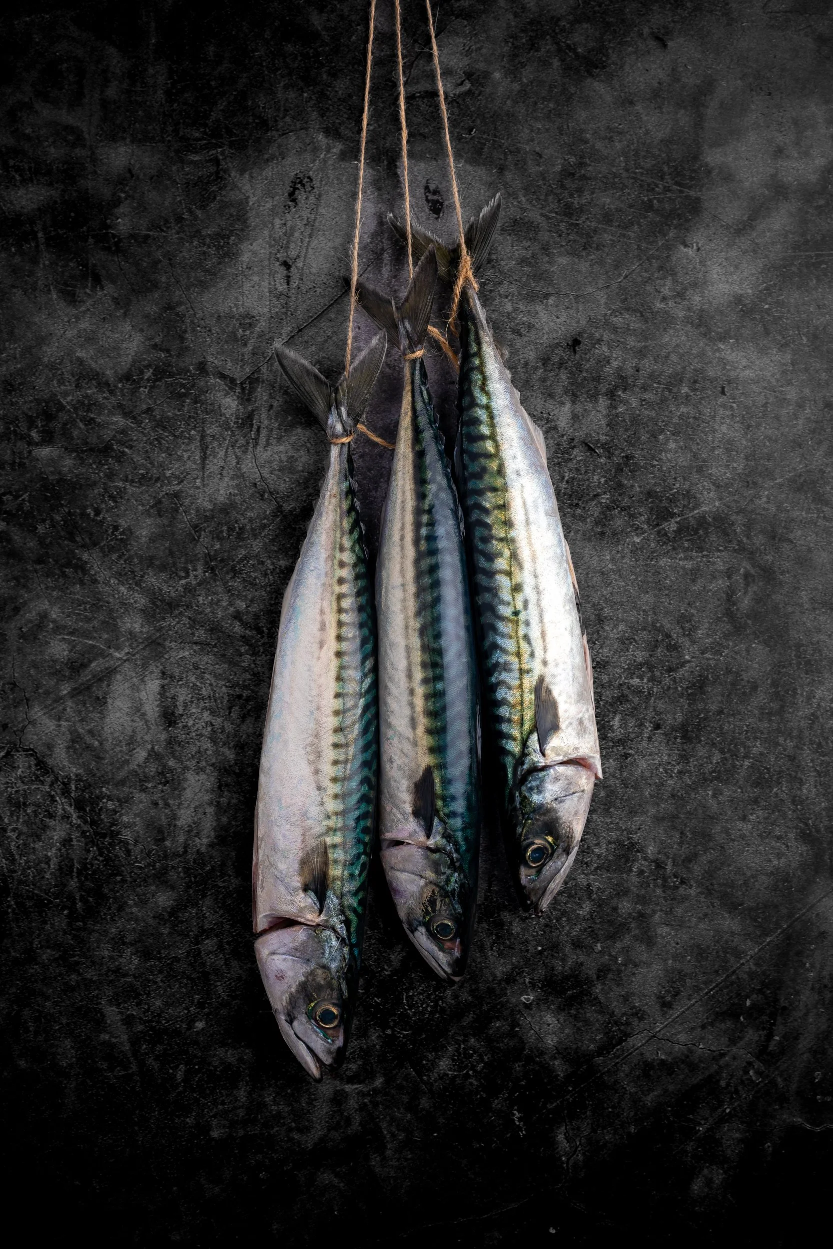 Fine art photograph of freshly caught mackerel hanging from string at The Rising Sun Milland