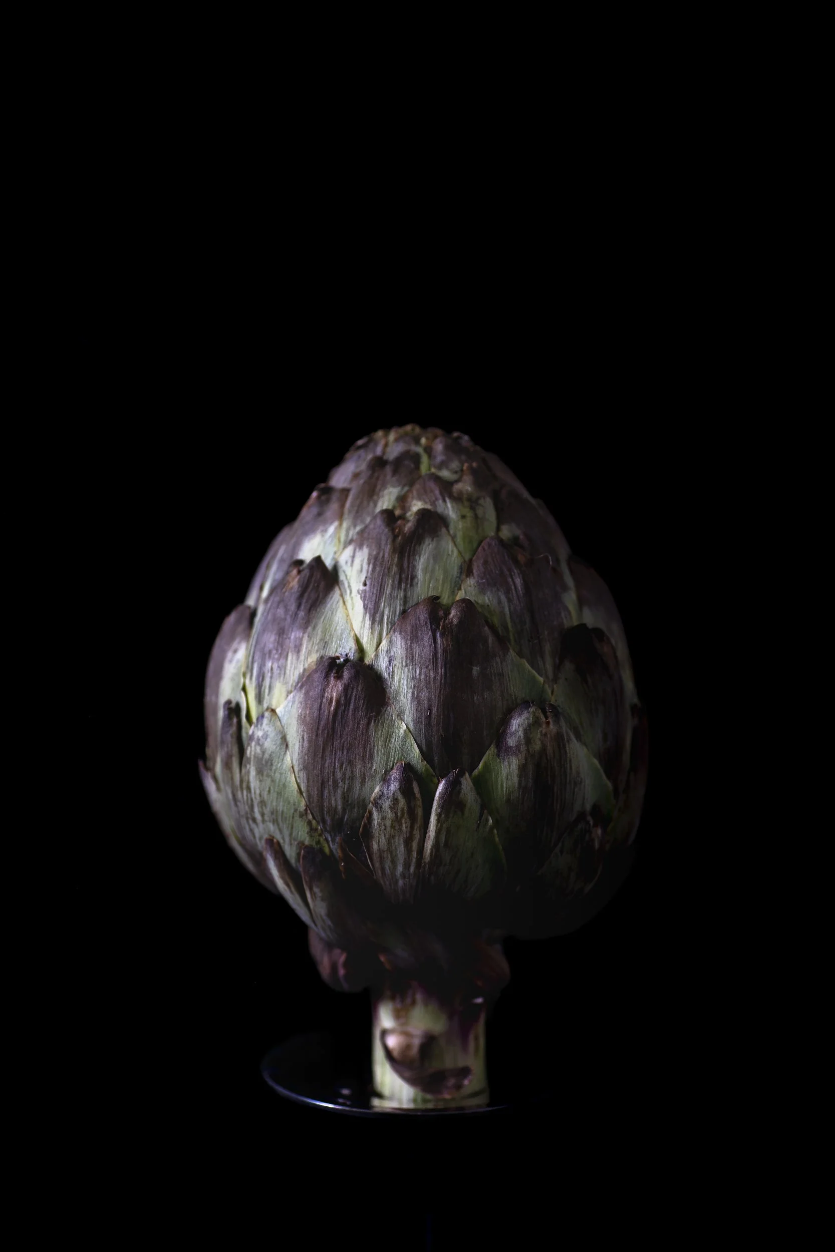 artichoke-fine-art-food-photography.jpg