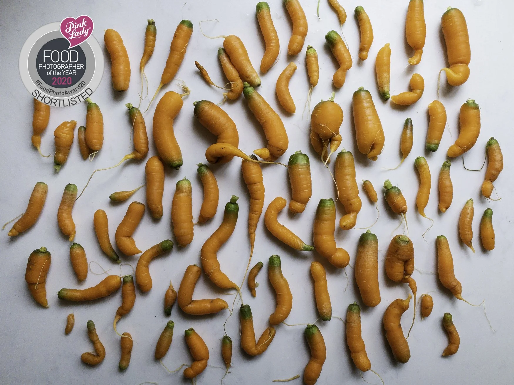 carrot-harvest_shortlised-world-food-photography-awards.jpg