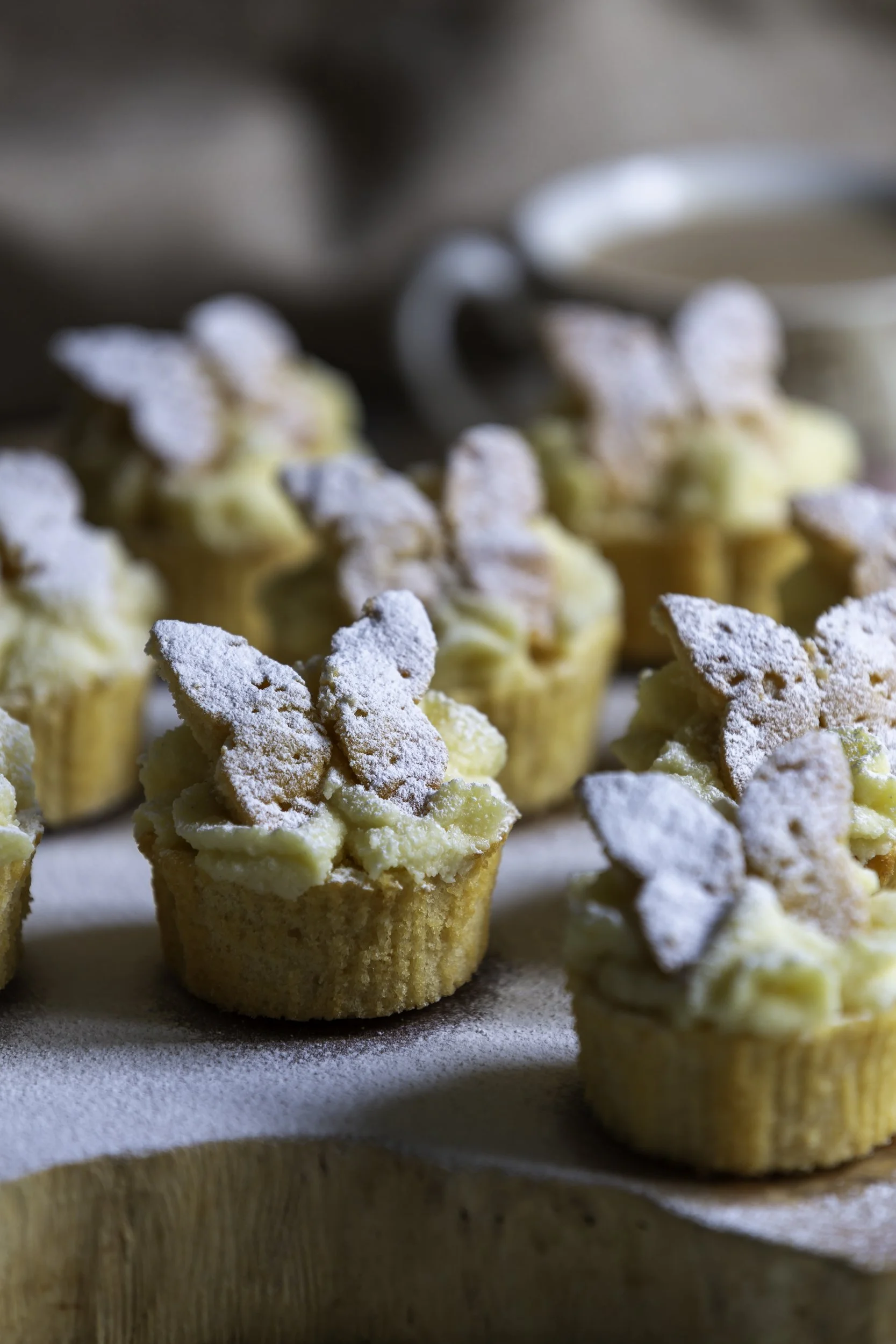 traditional-homemade-butterfly-cakes-dusted-with-icing-sugar.jpg