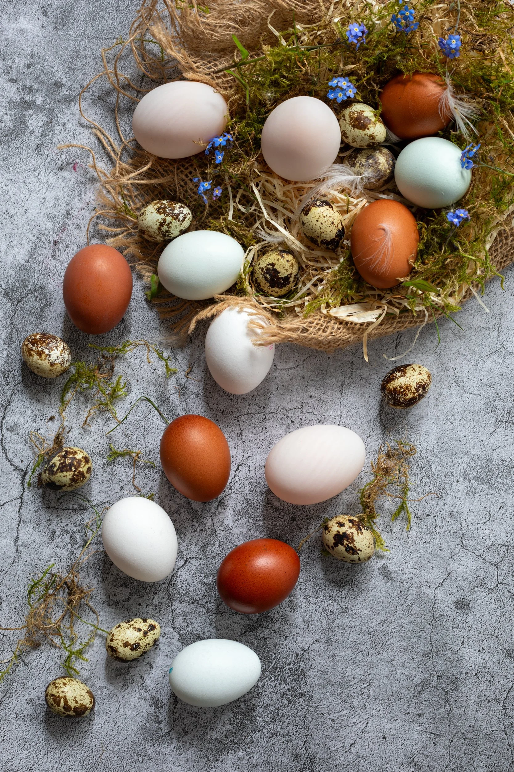 variety-of-organic-eggs.jpg