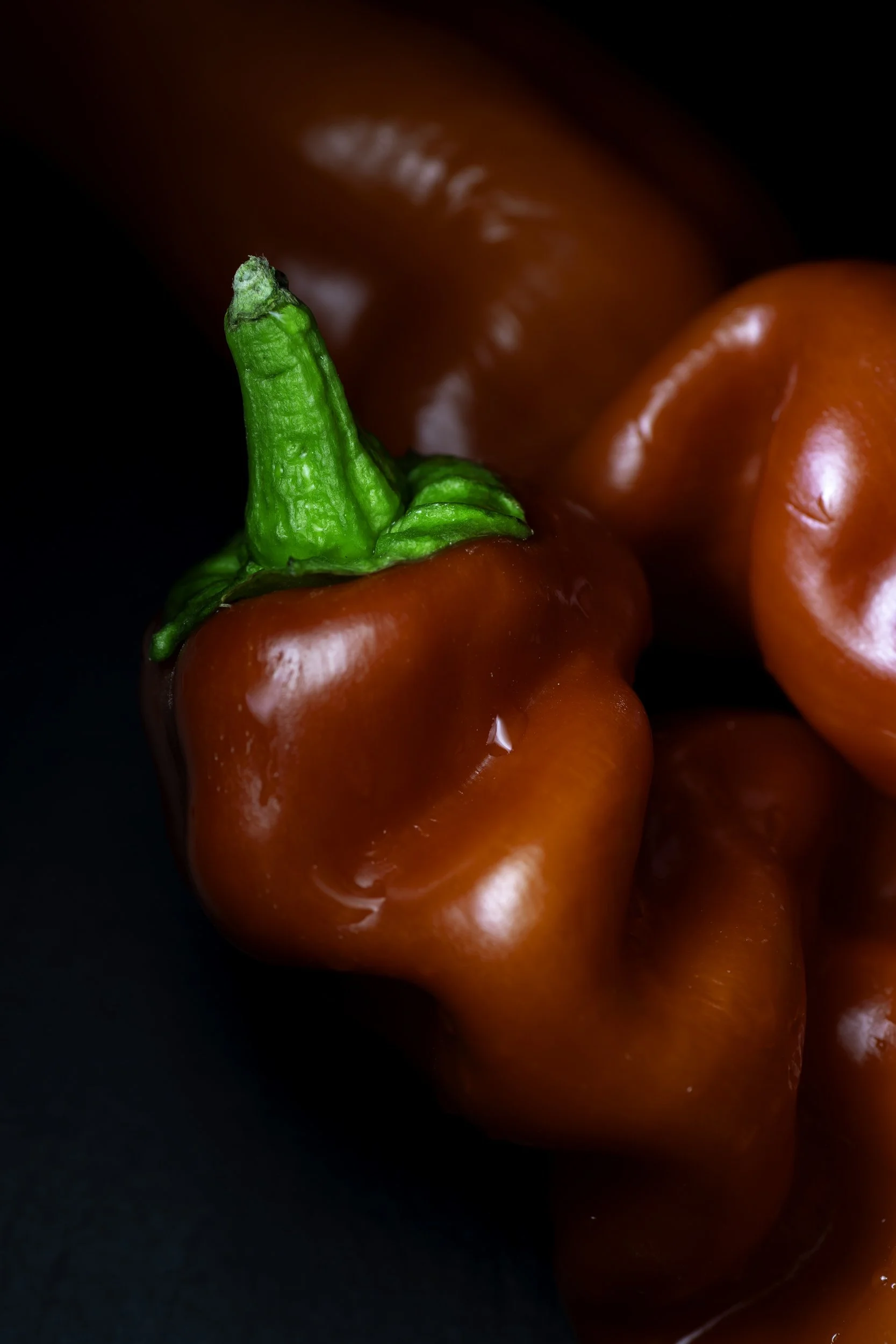 red-peppers-fine-art-food-photography.jpg
