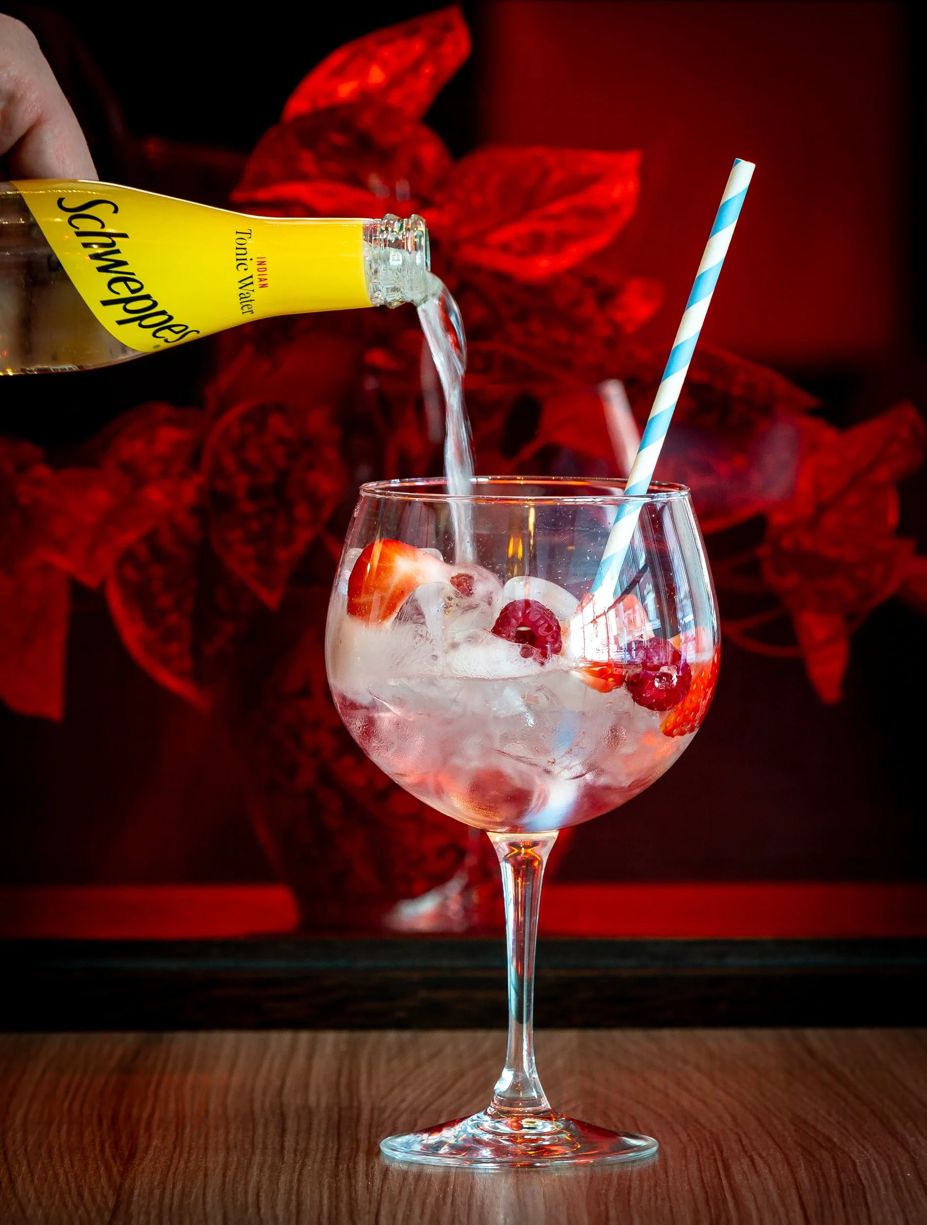 gordons-gin-and-schweppes-tonic-01.jpg