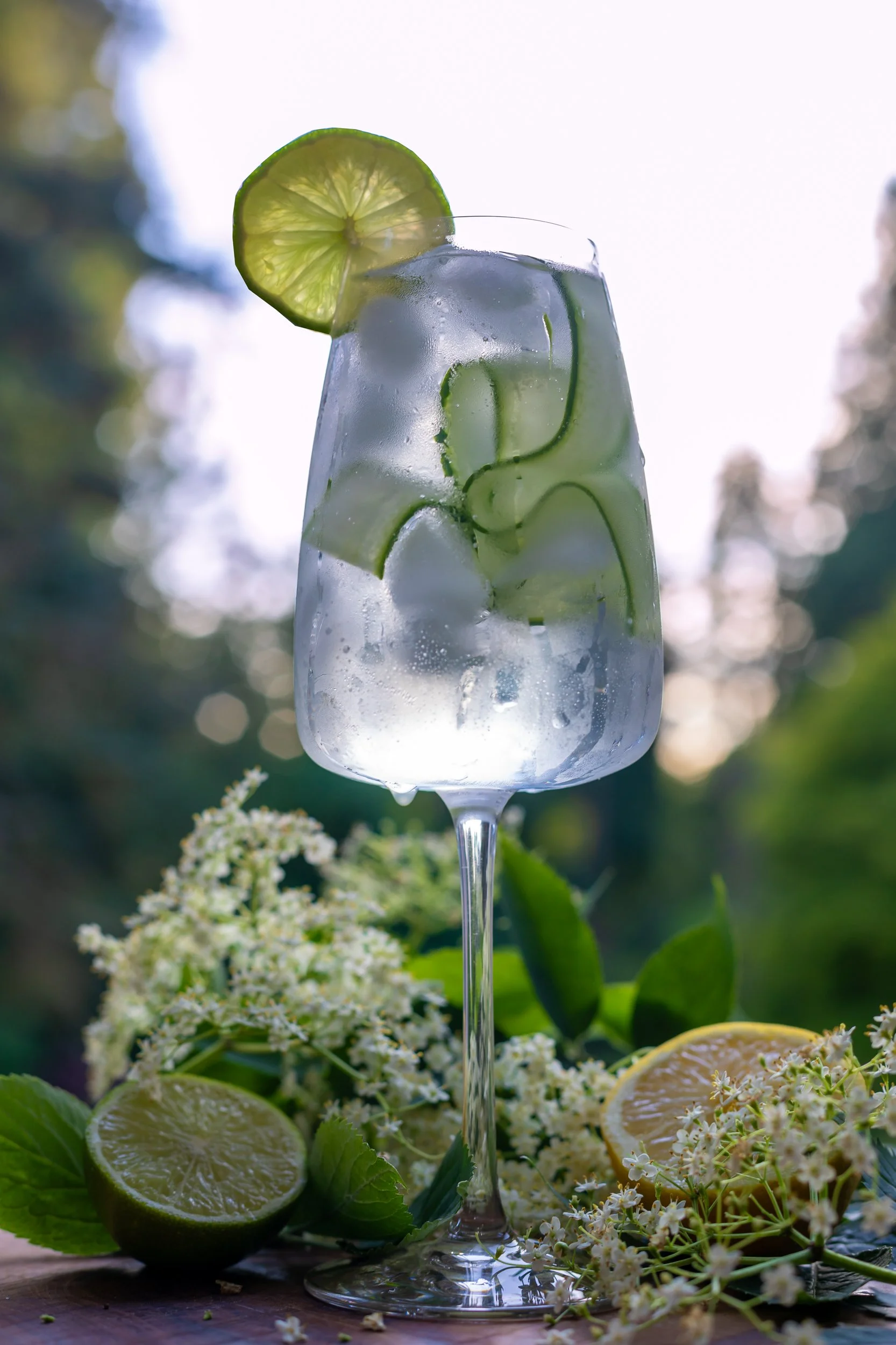 elderflower-cordial-fizz.jpg