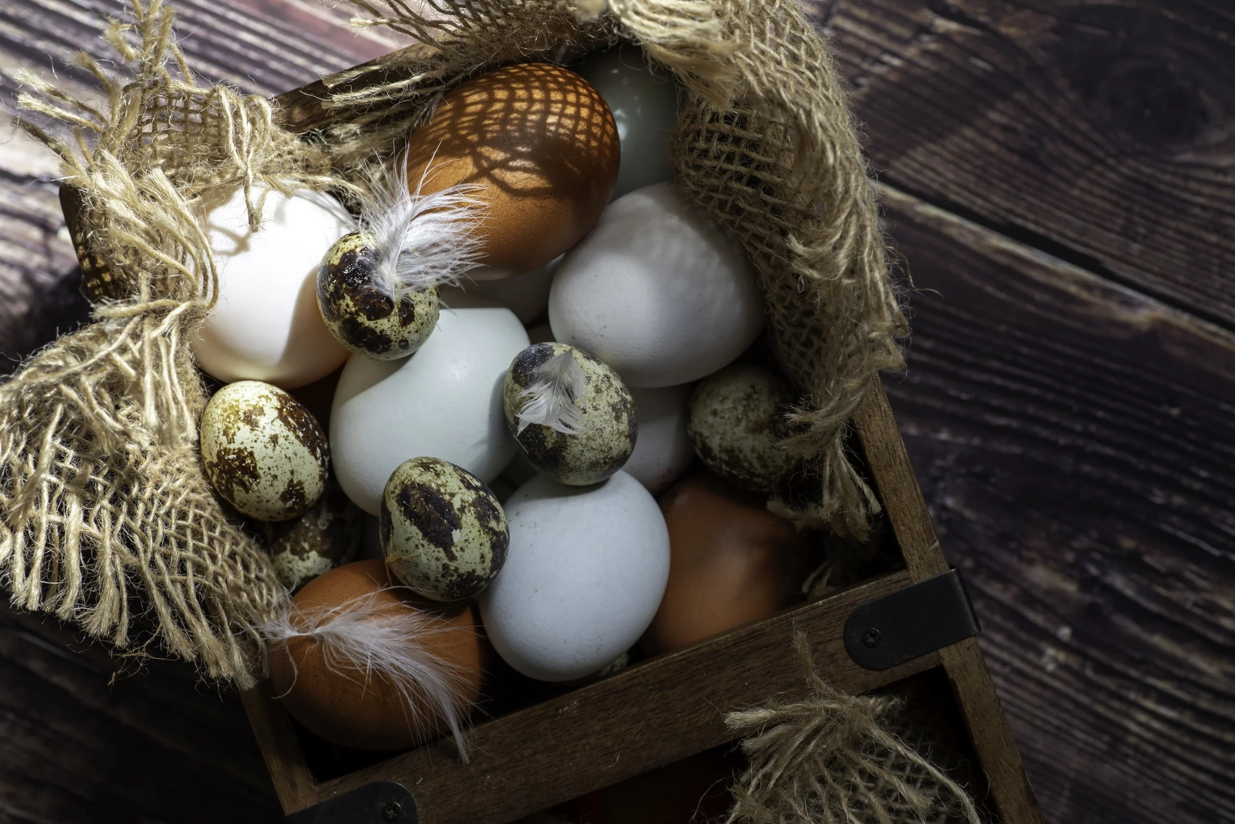 clutch-of-organic-eggs-fine-art-food-photography.jpg