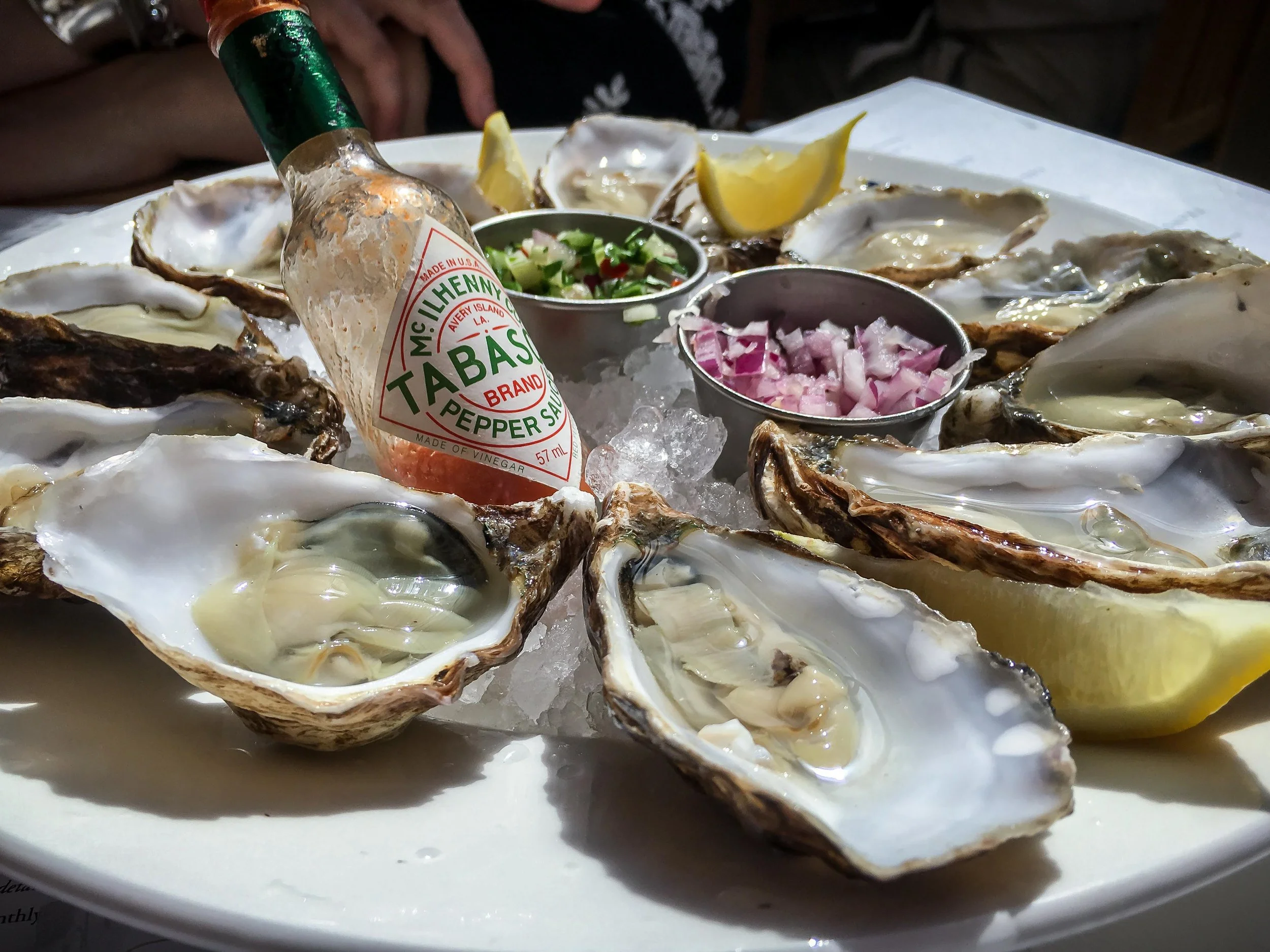 Fresh oysters
