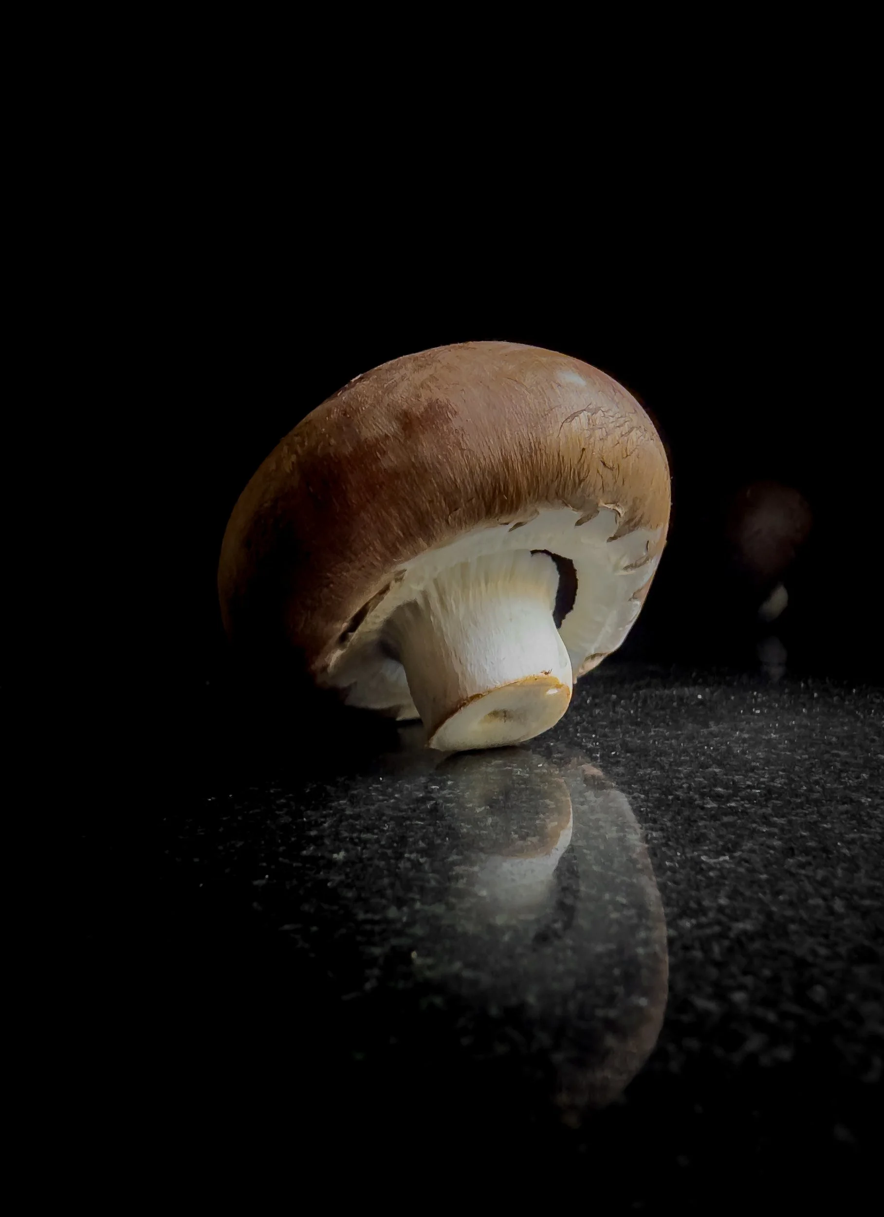 organic-chestnut-mushroom-fine-art-food-photography.jpg