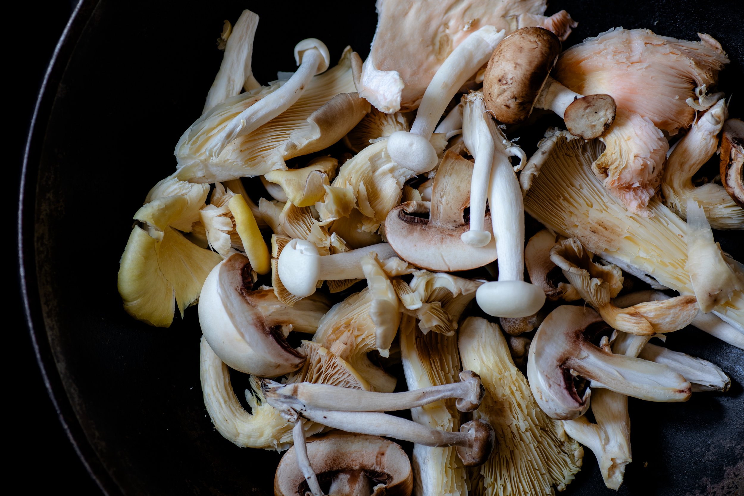wild-mushrooms-fine-art-food-photography.jpg