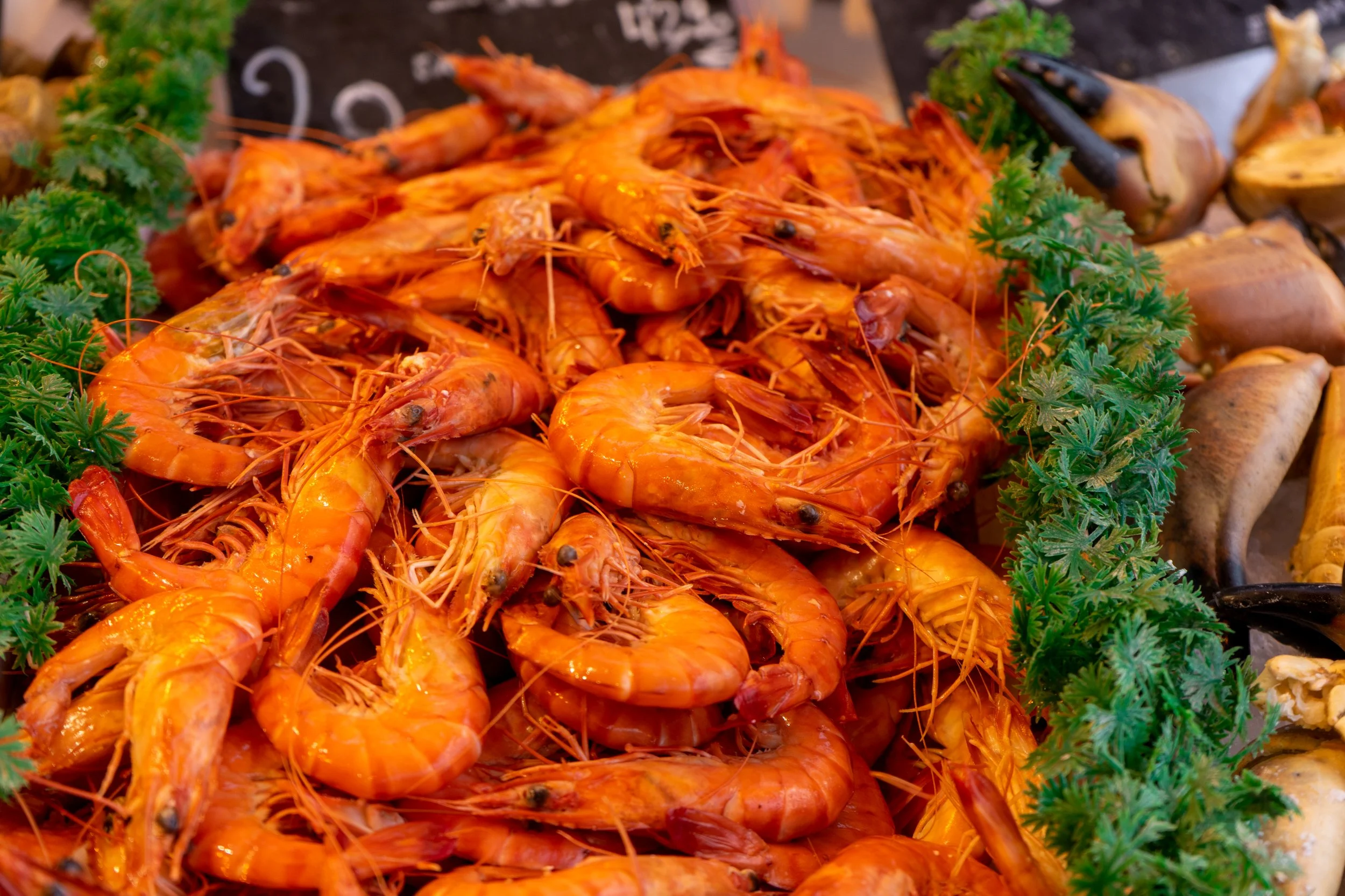 pre-cooked-organic-prawns-ready-to-eat-market-normandy-france.jpg