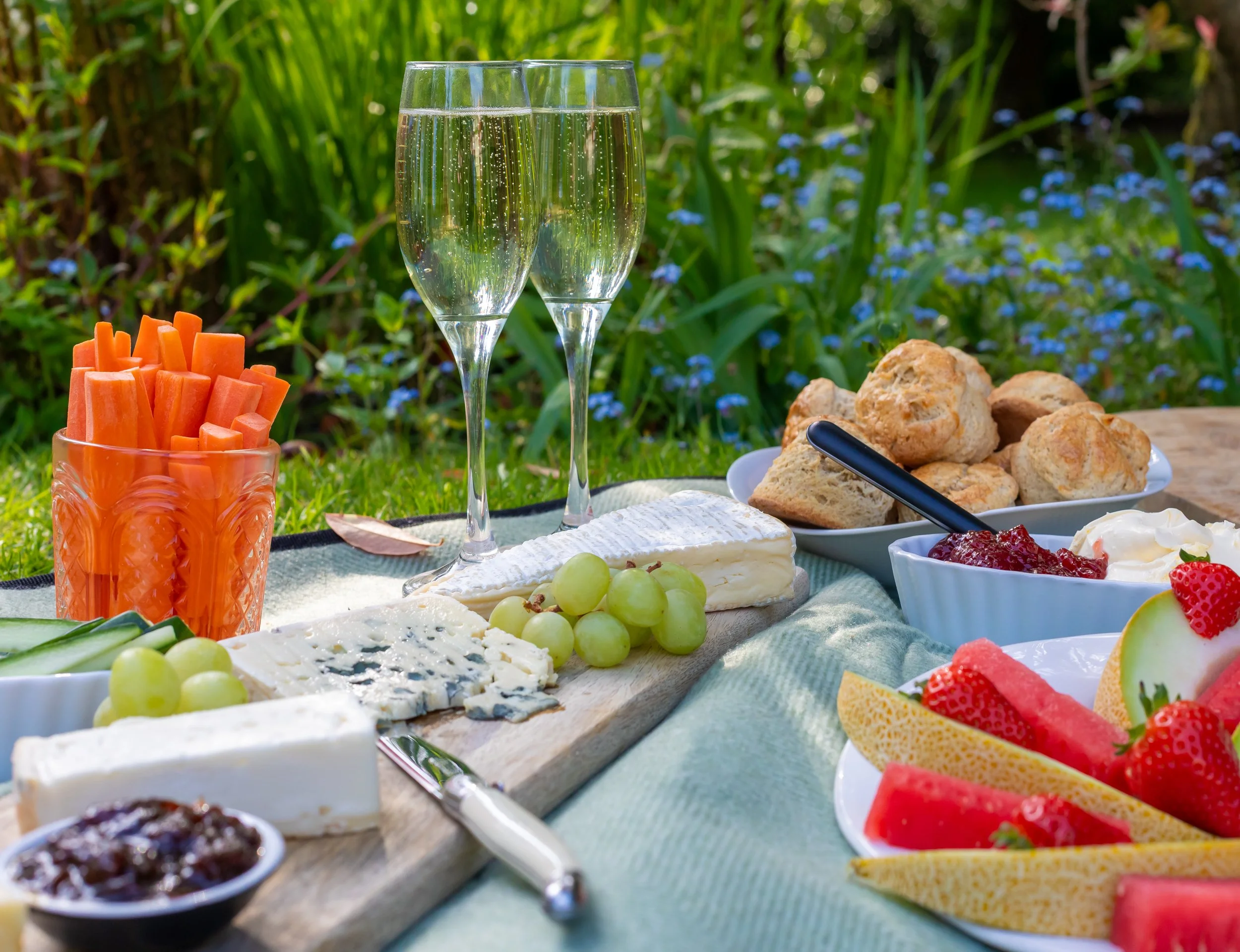 champagne-picnic.jpg