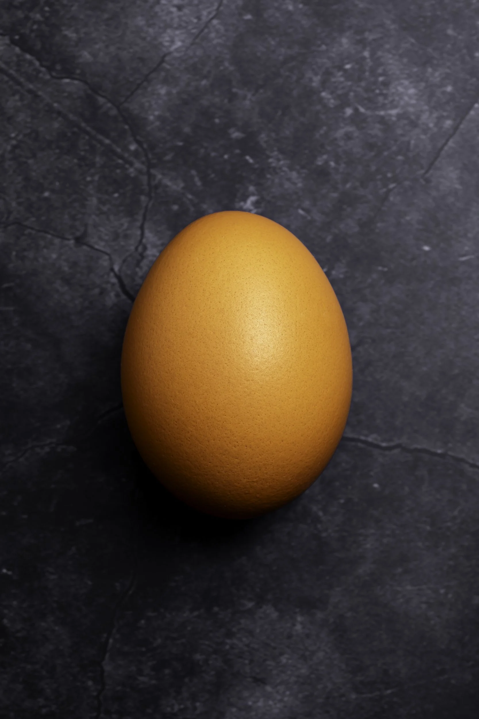 one-egg_fine-art-food-photography-england.jpg