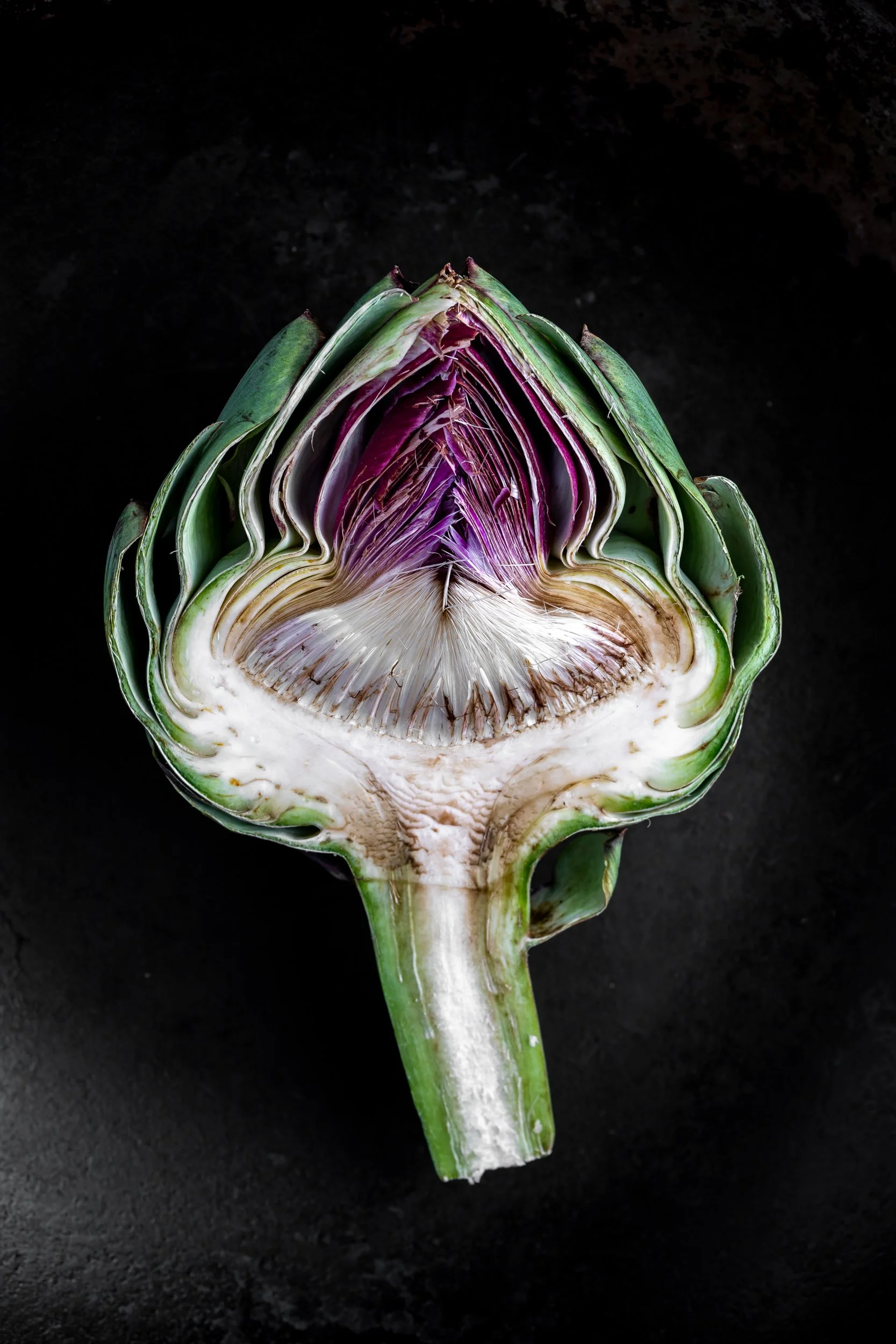 dissected-artichoke-fine-art-food-photography.jpg