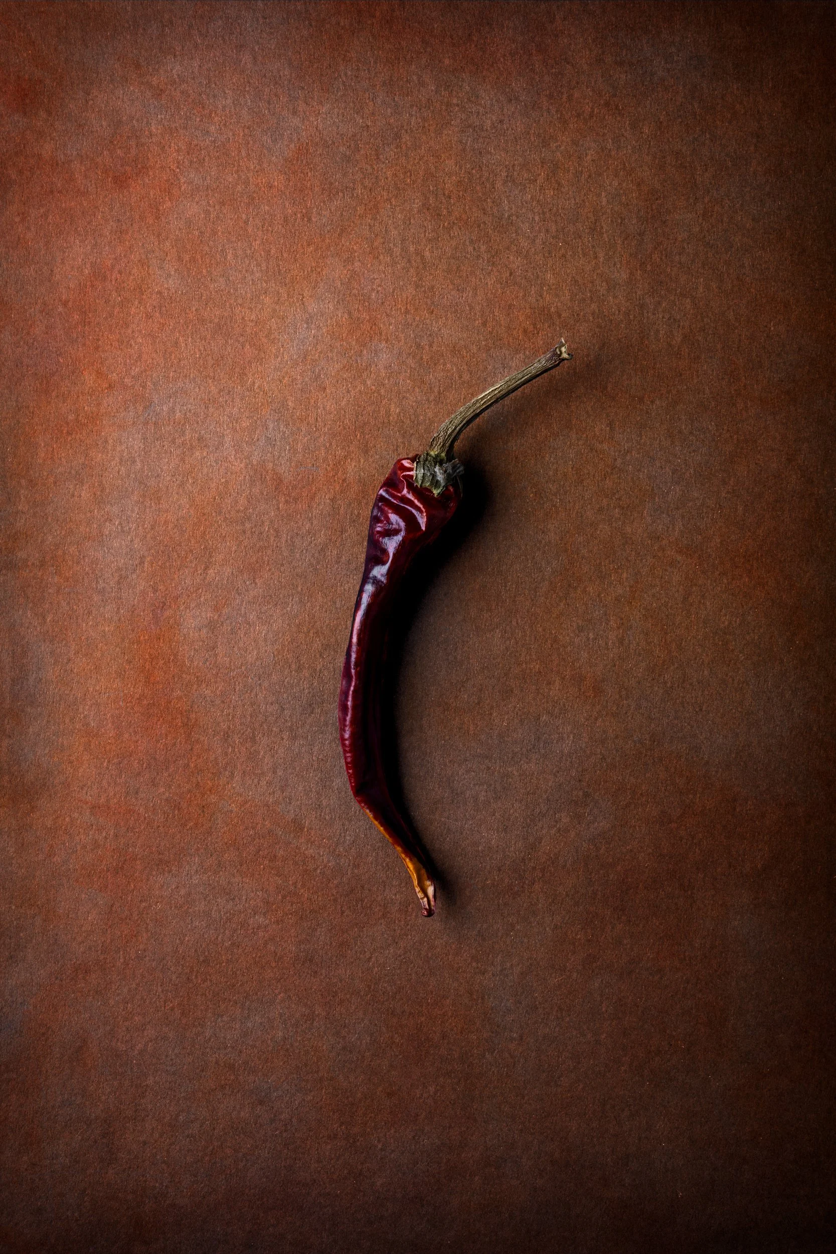 single-dried-guindilla-chilli_fine-art-food-photography-england.jpg