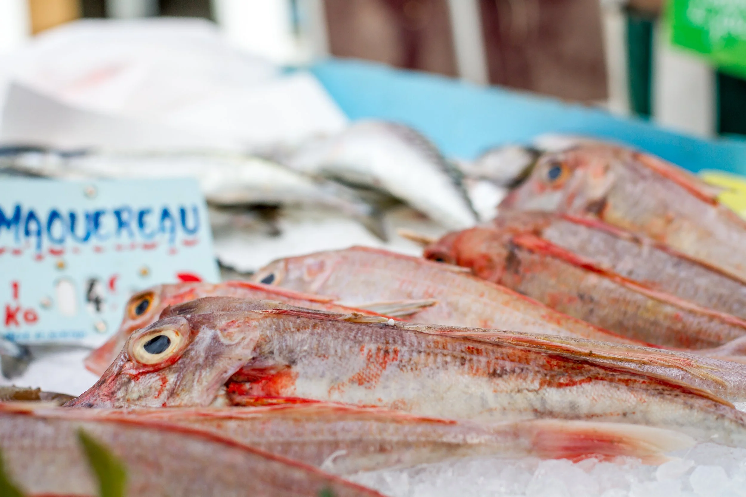 fresh-red-mullet-for-sale-market-normandy-france.jpg