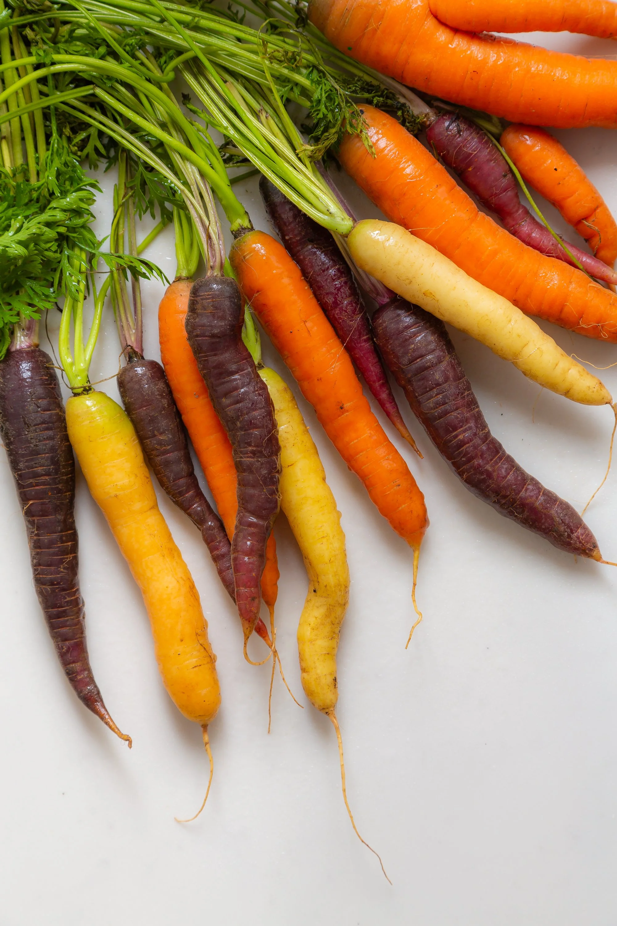 organic-heritage-carrots-fresh-from-farm.jpg