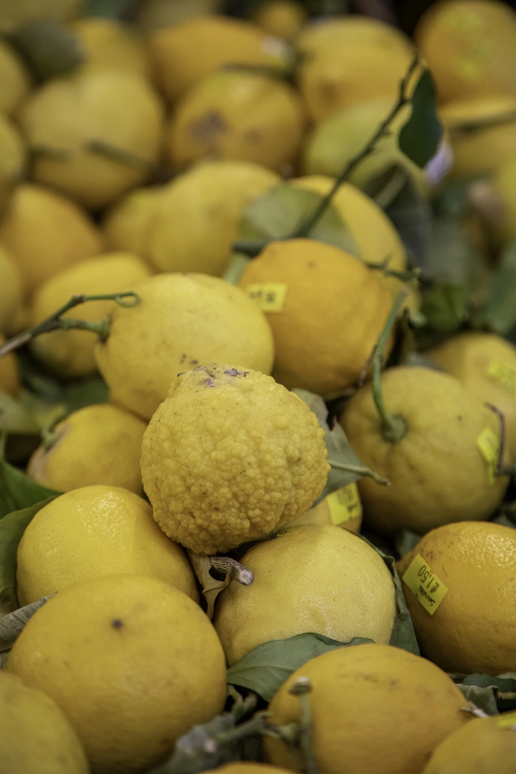 amalfi-coast-lemons.jpg