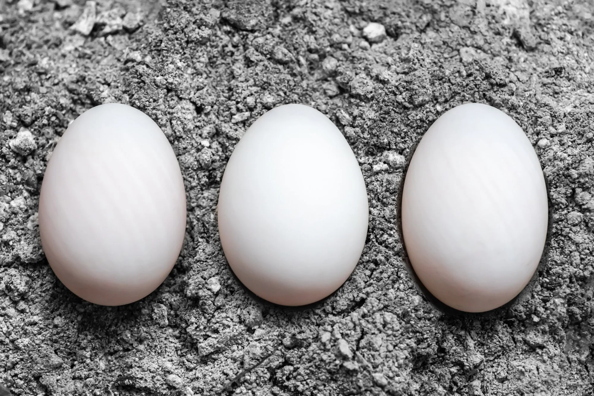 Fine art photograph of three duck eggs on ashes at The Rising Sun Milland