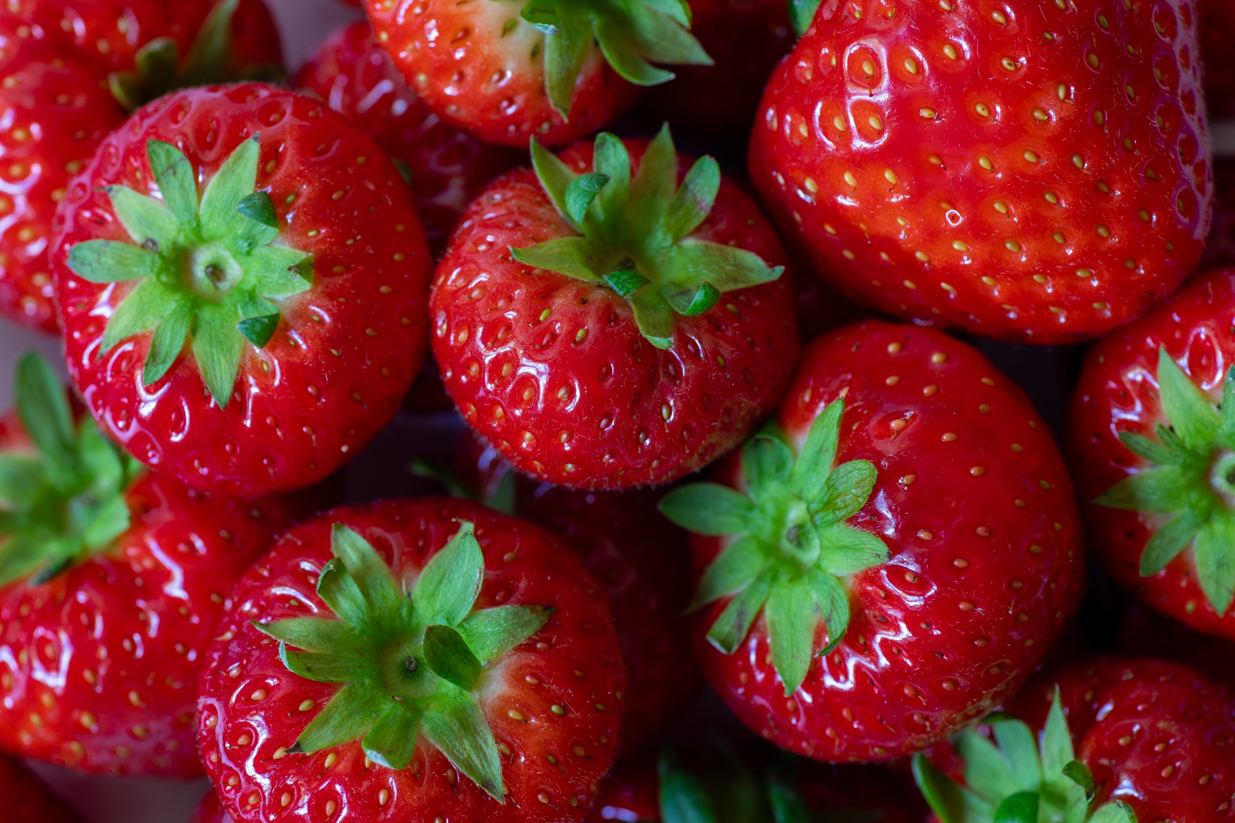 fresh-organic-british-strawberries.jpg