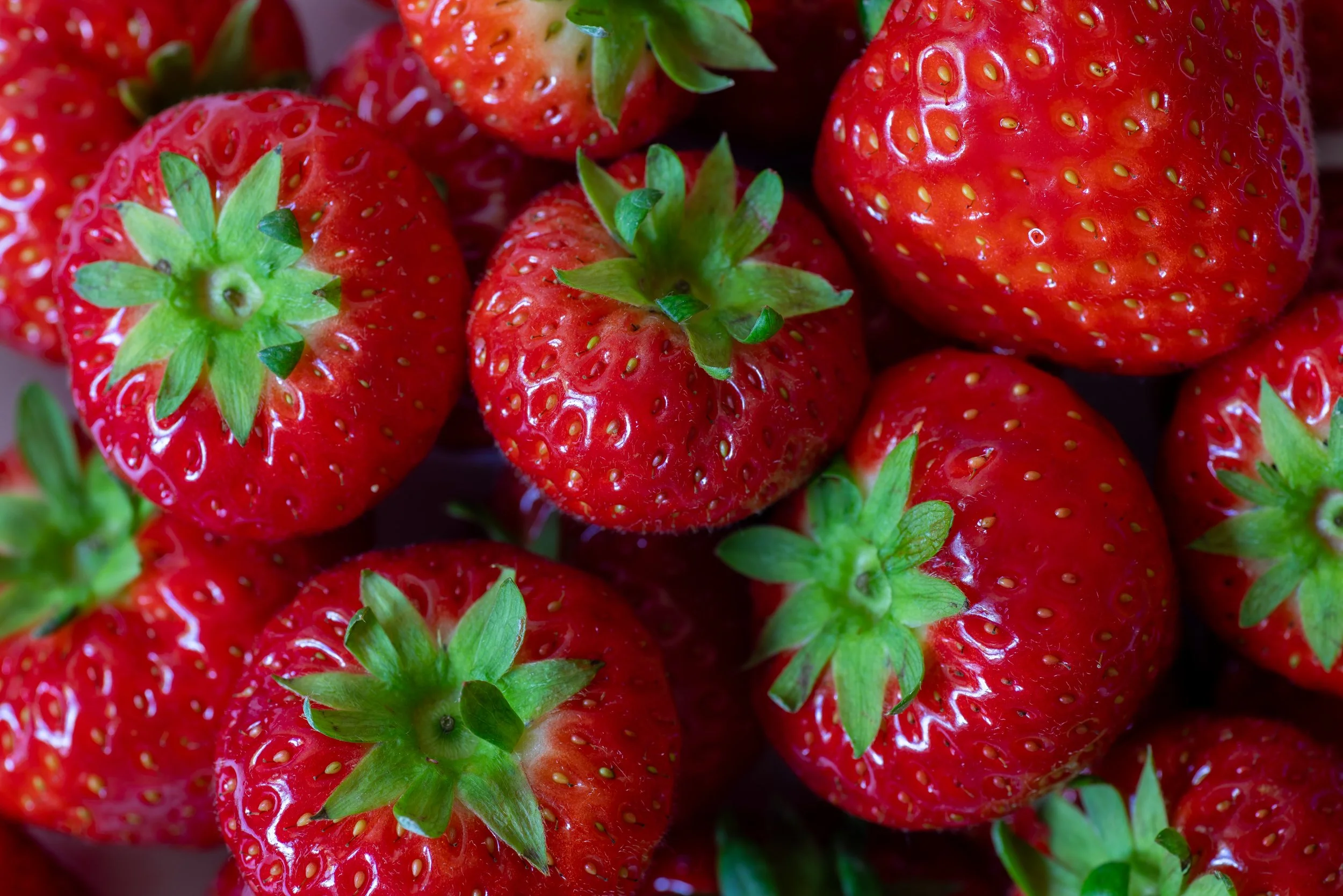 fresh-organic-british-strawberries_fine-art-food-photography-england.jpg