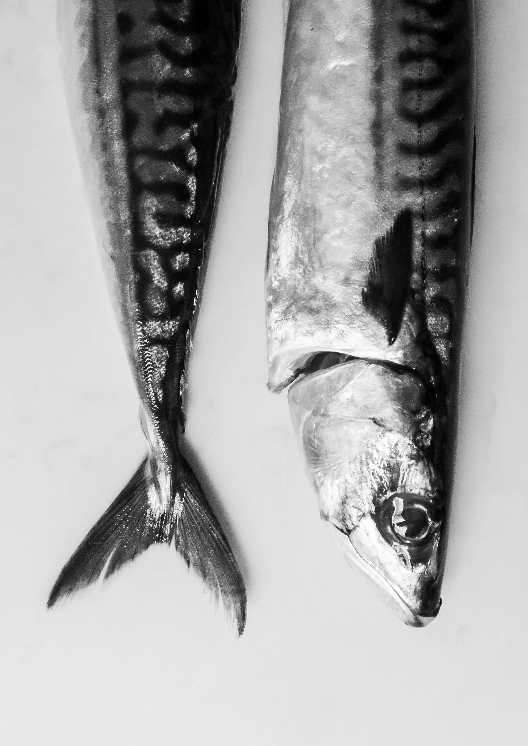 From The Water