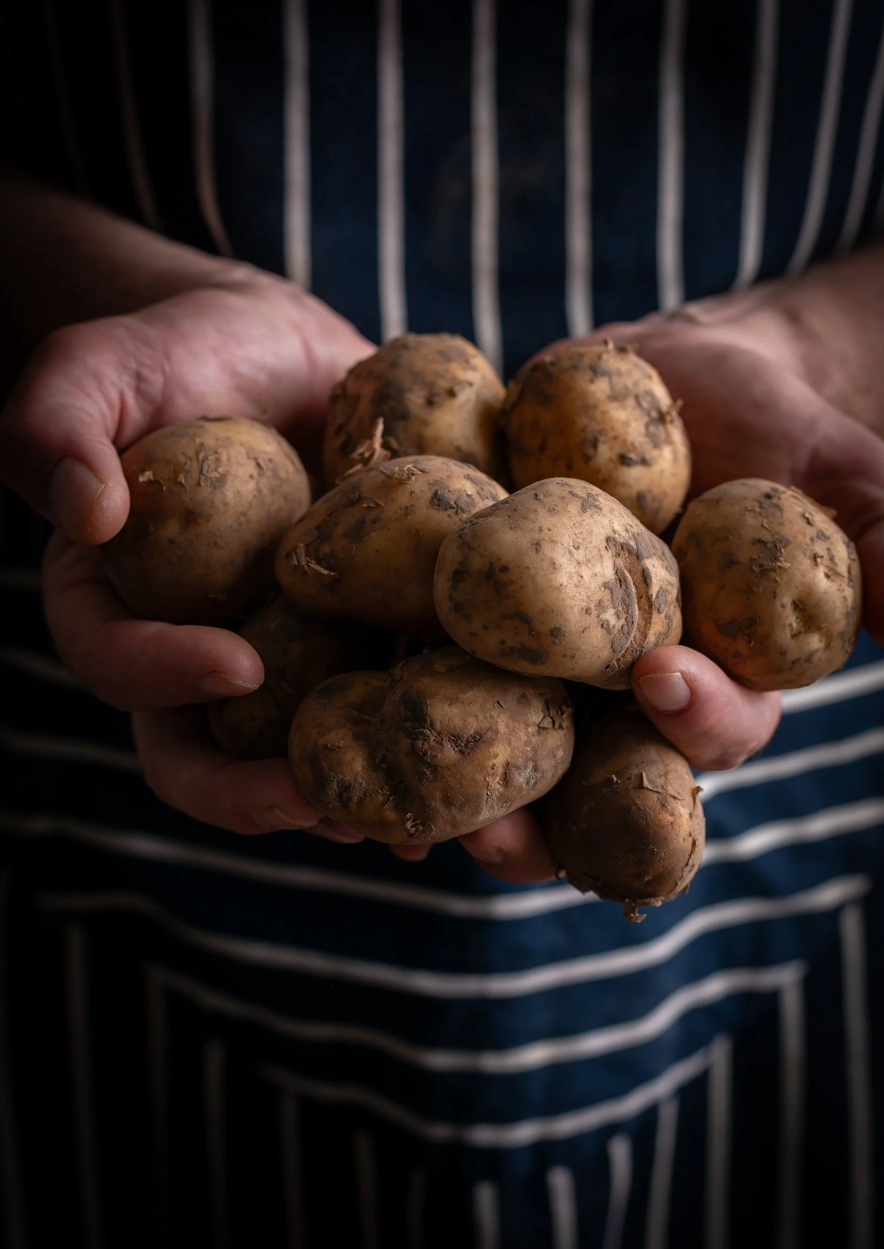 jersey-royal-potatoes-held-in-chefs-hands.jpg