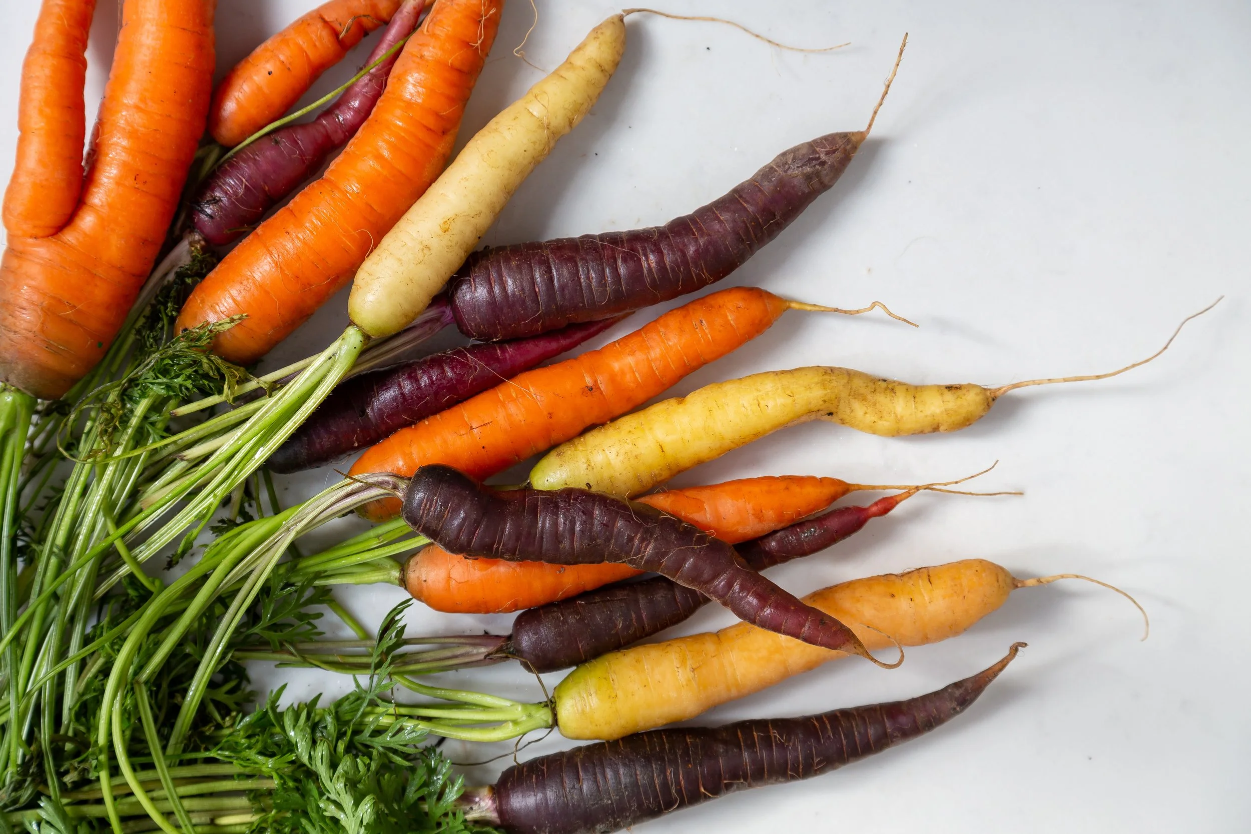farm-fresh-organic-heritage-carrots.jpg
