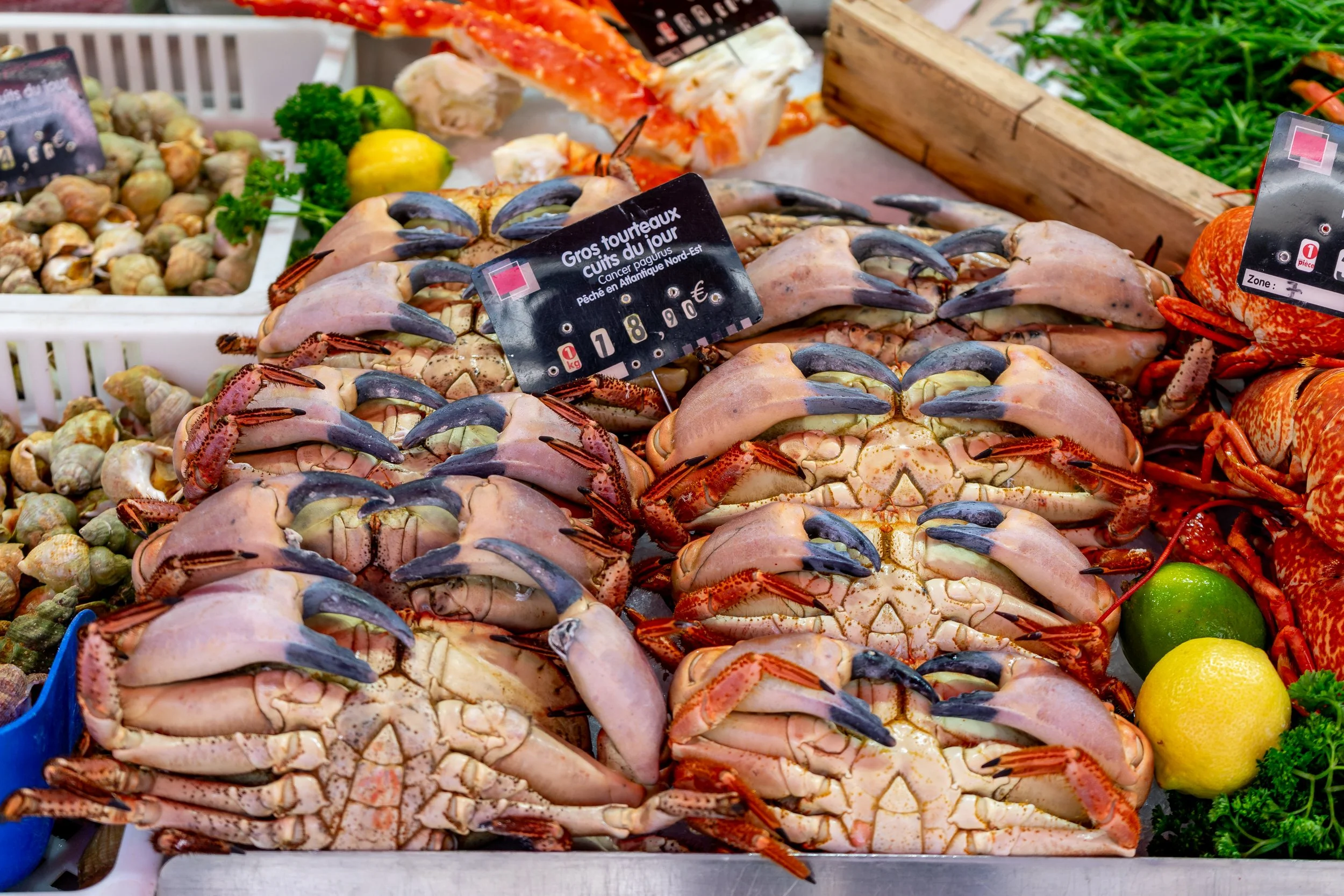 fresh-crab-for-sale-market-normandy-france.jpg