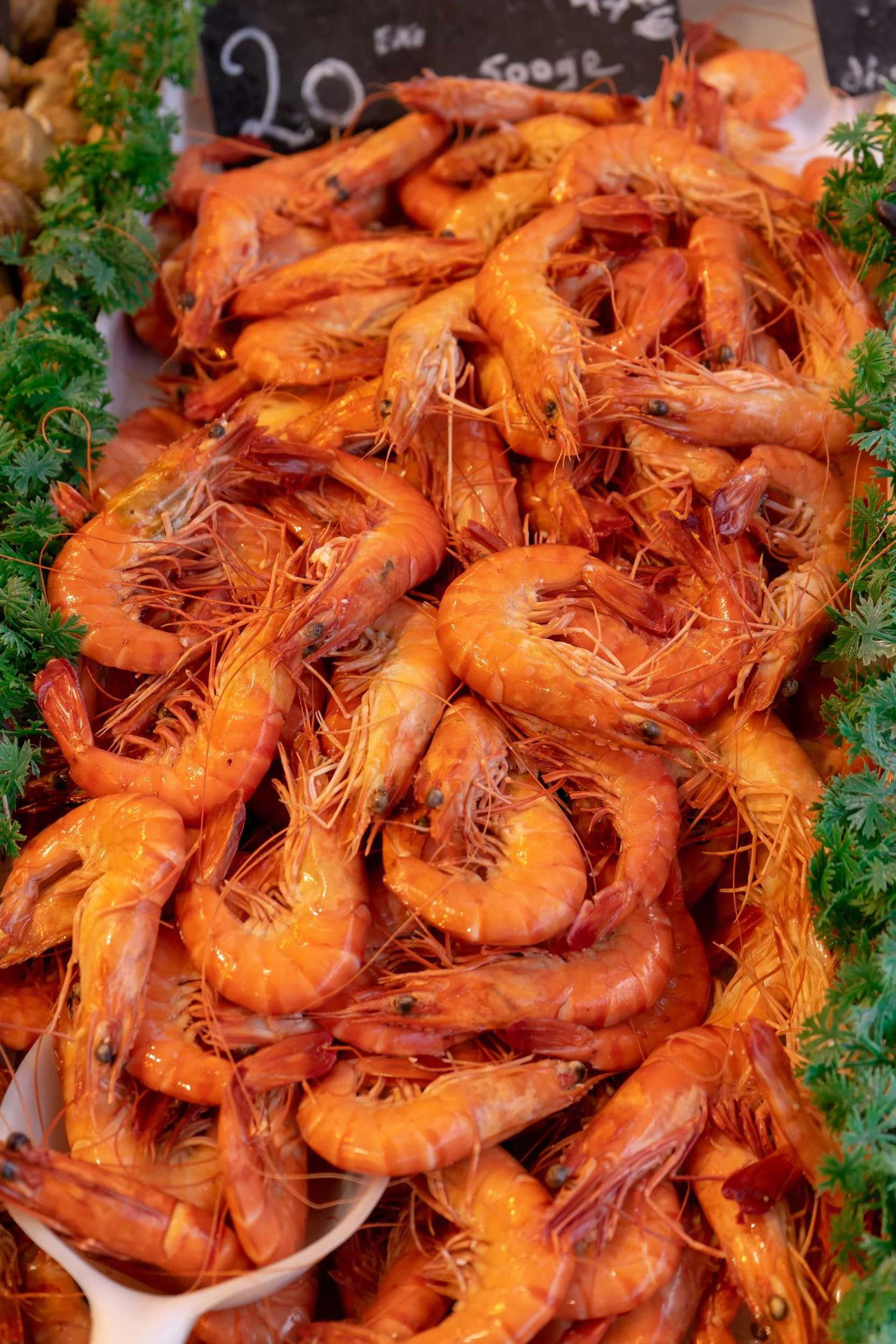 fresh-organic-prawns-for-sale-market-normandy-france.jpg