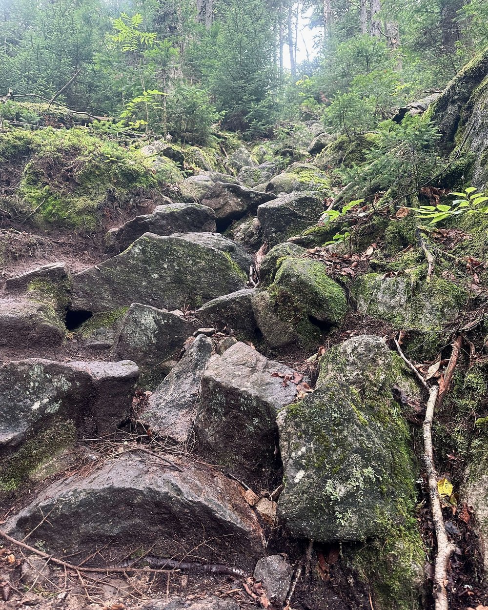 Appalachian Trail SOBO Day 21 – The Butcher’s Daughter