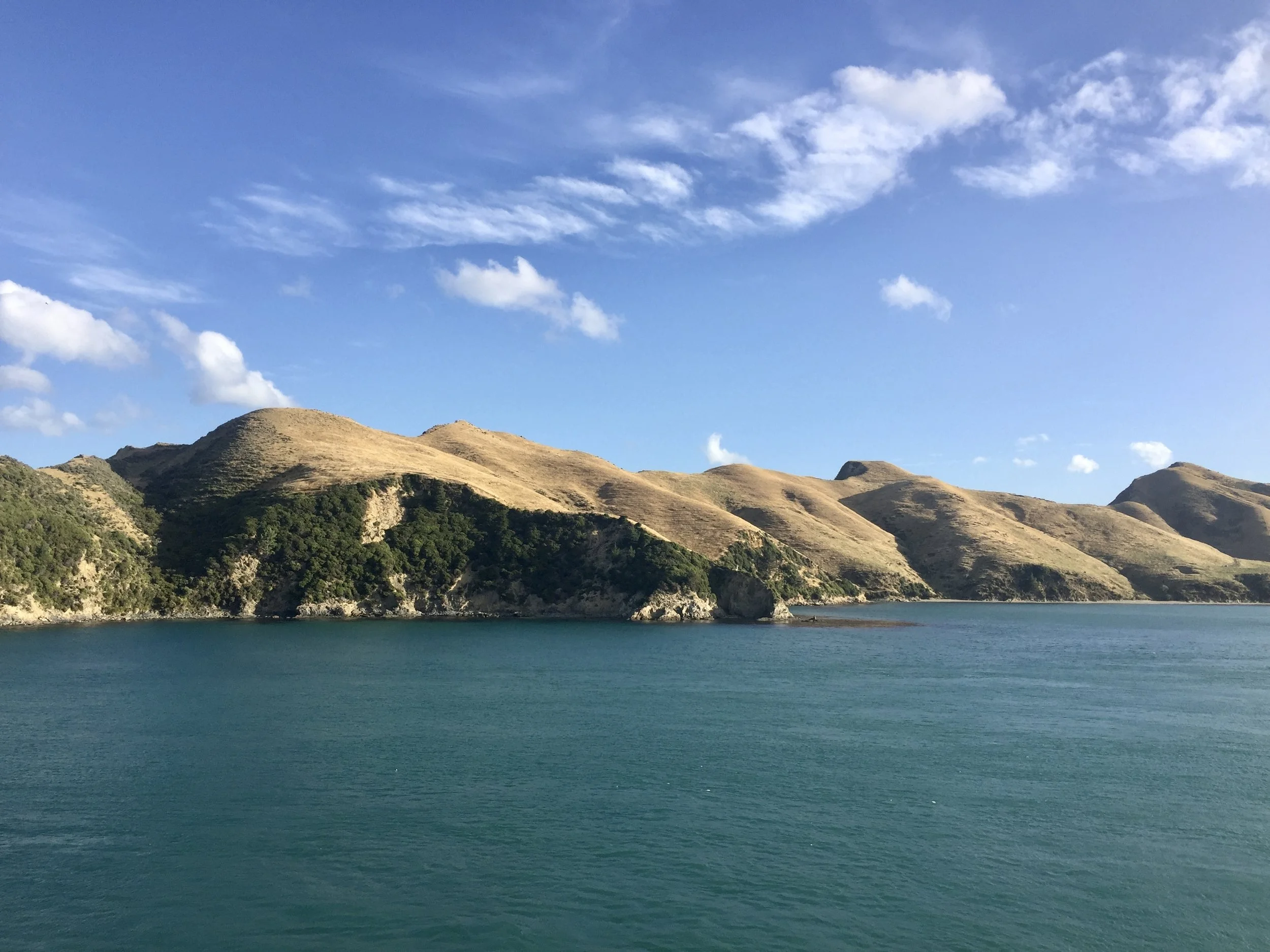 Te Araroa day 73 – Goodbye North Island