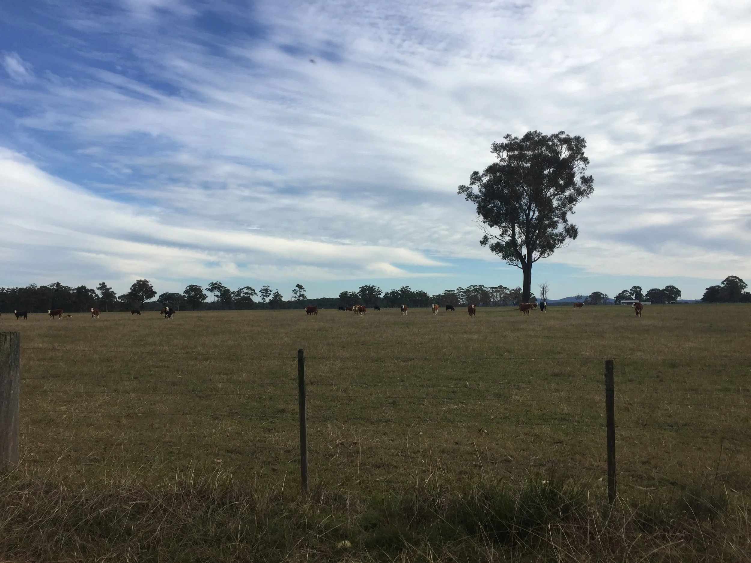 Cycle Oz day 12 – Getting off the highway