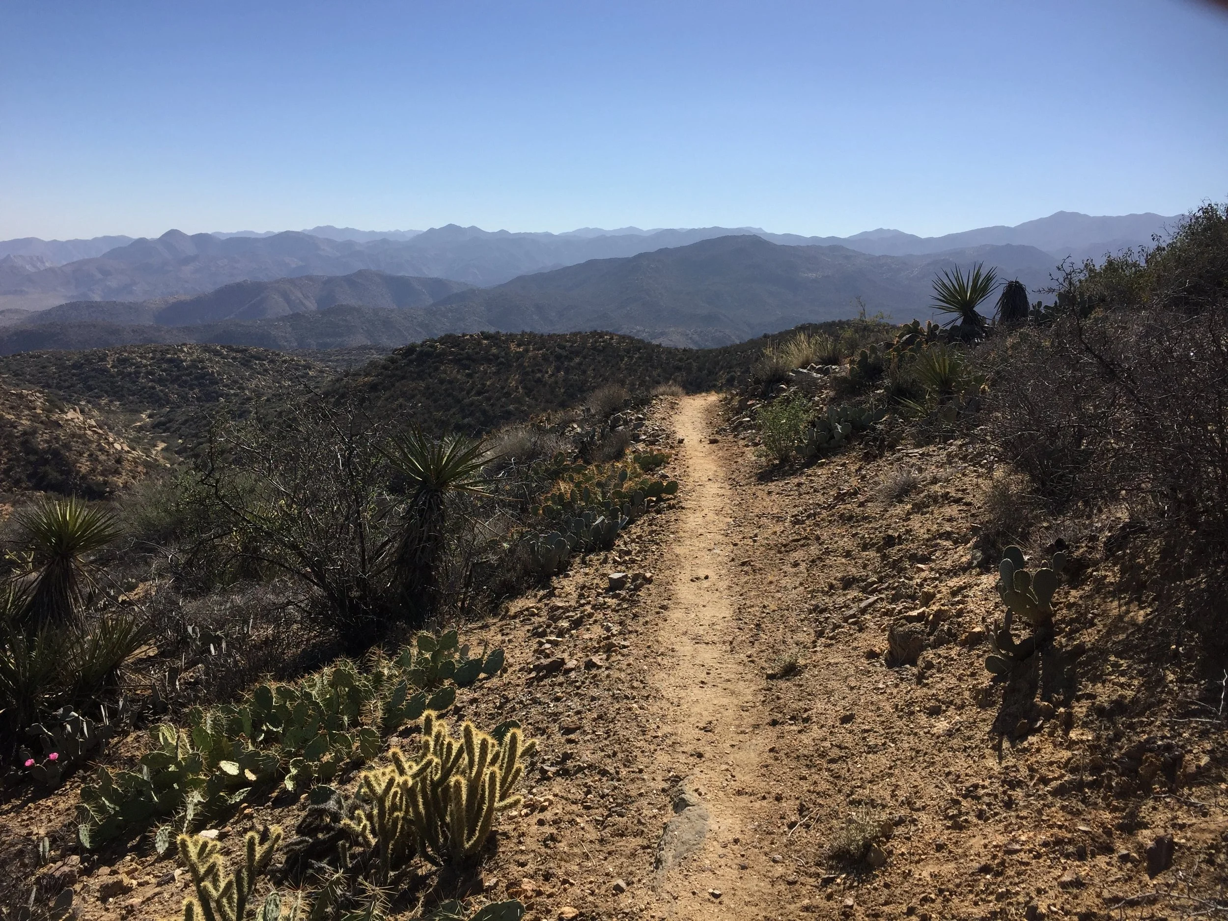 PCT SOBO day 126 – Winter is coming 