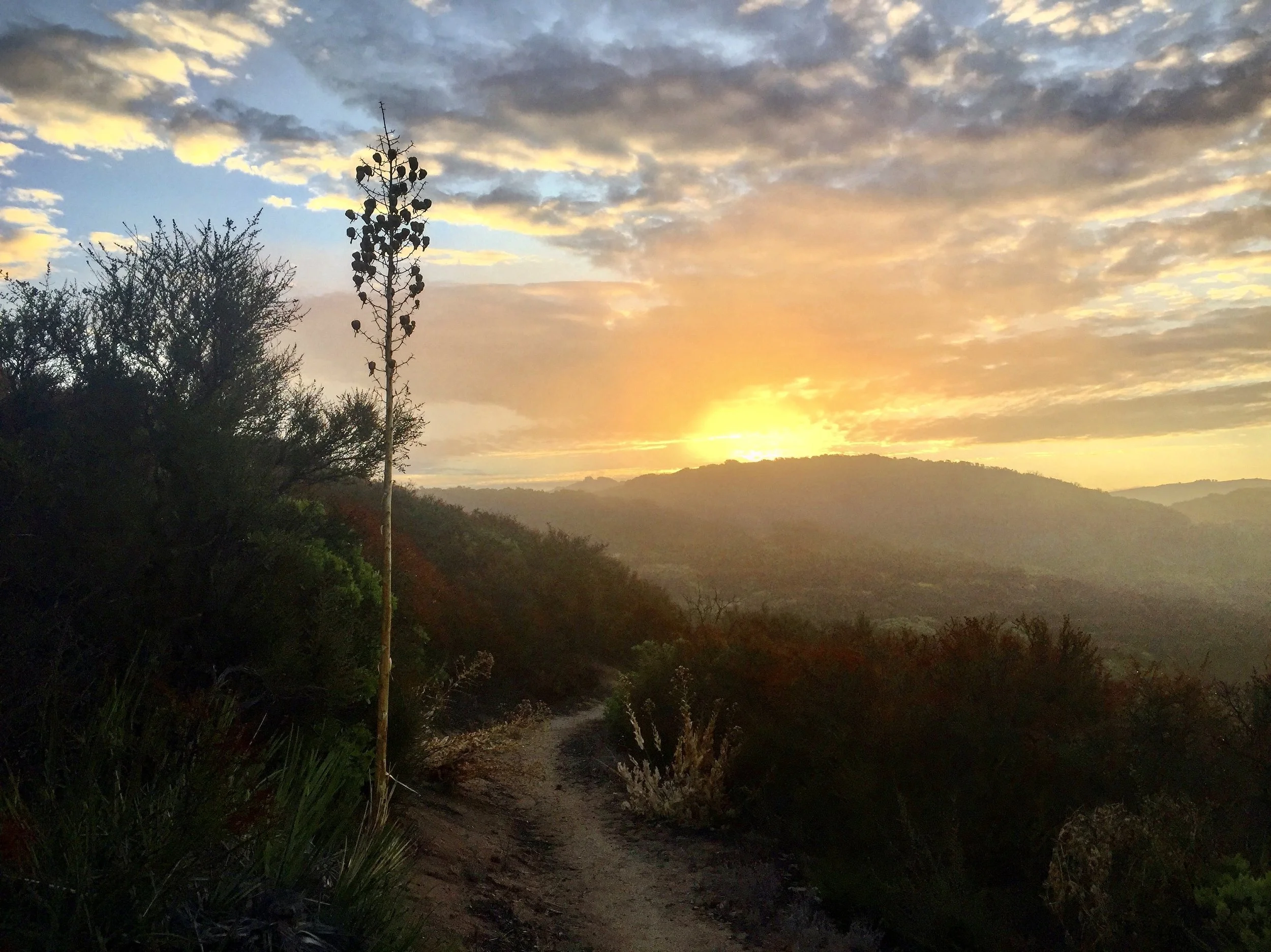PCT SOBO day 110 – Hiker heaven