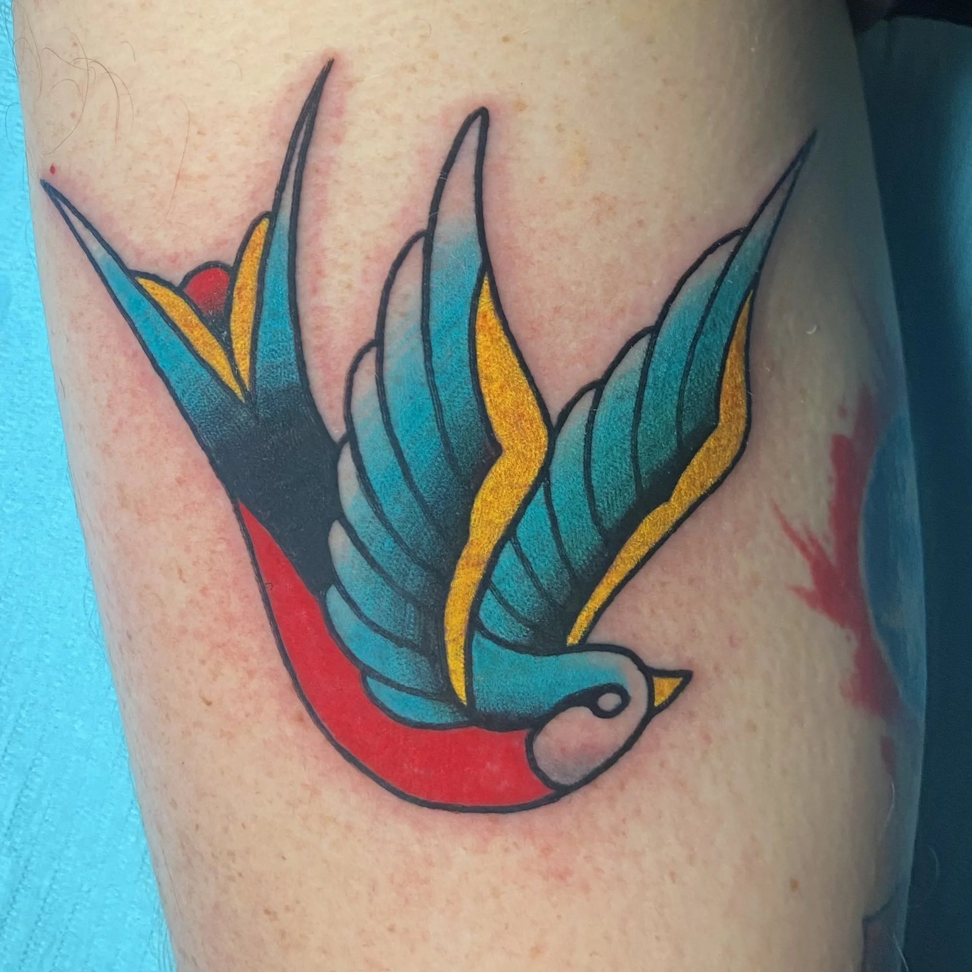 Colorful tattoo of a swallow with blue and yellow wings and a red tail on skin.