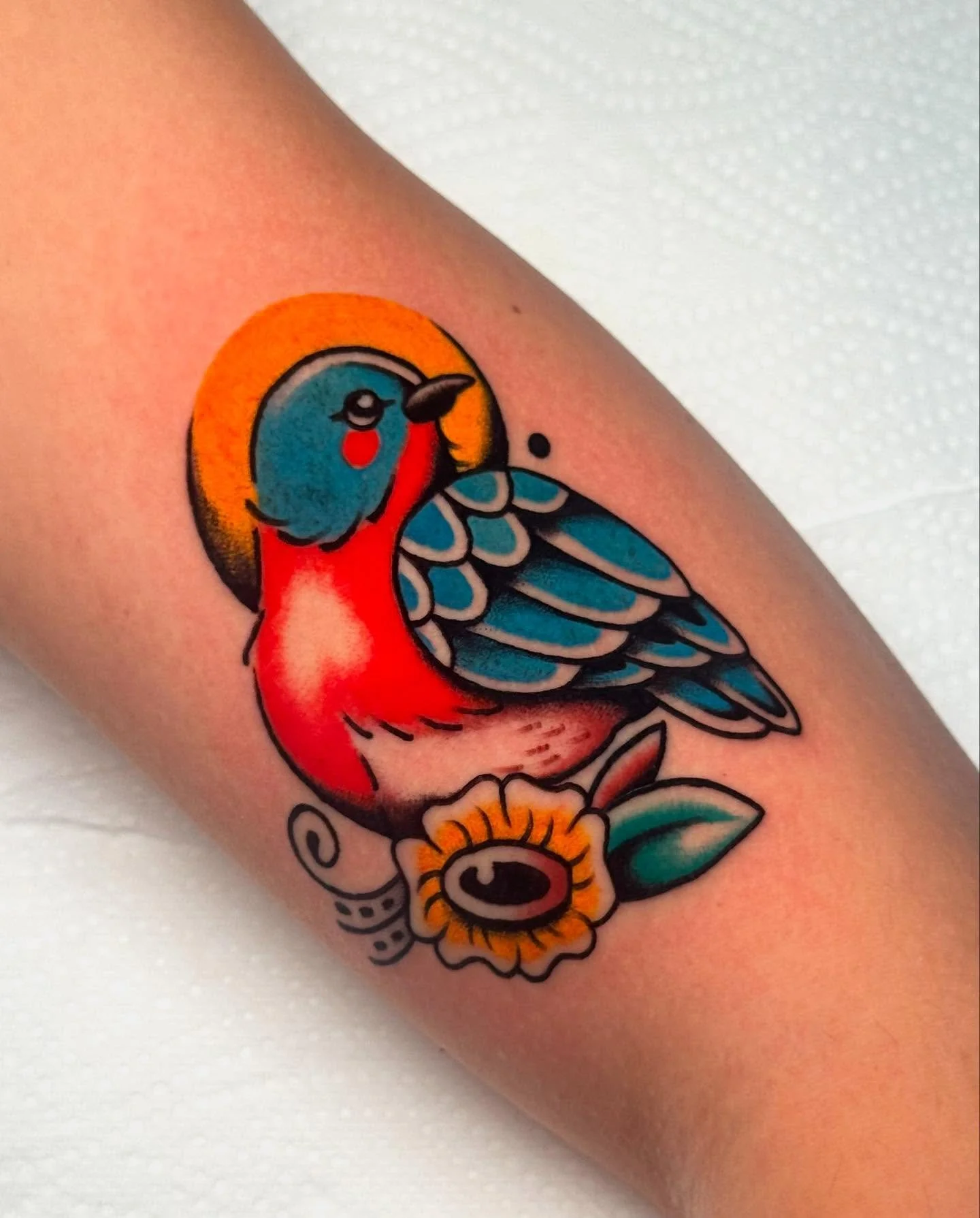 fun fact: when a saint is depicted with a halo around thier head, it takes on a new name &ldquo;Nimbus&rdquo; which is coincidentally what this sweet little blue bird has been named on the also very sweet Miles 🌈🐦💖 very appreciative of our love of